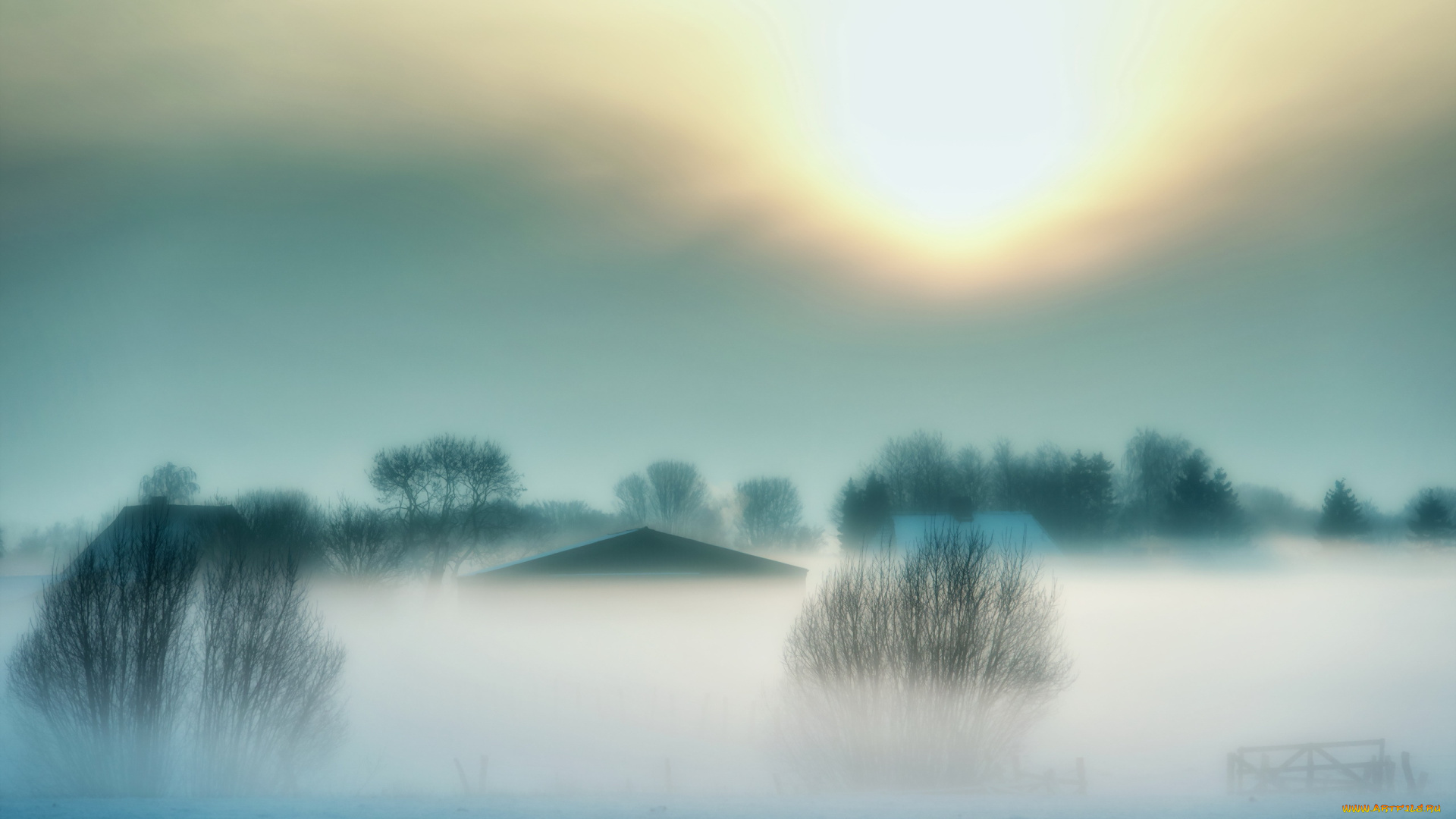 природа, восходы, закаты, деревья, кусты, крыша, туман