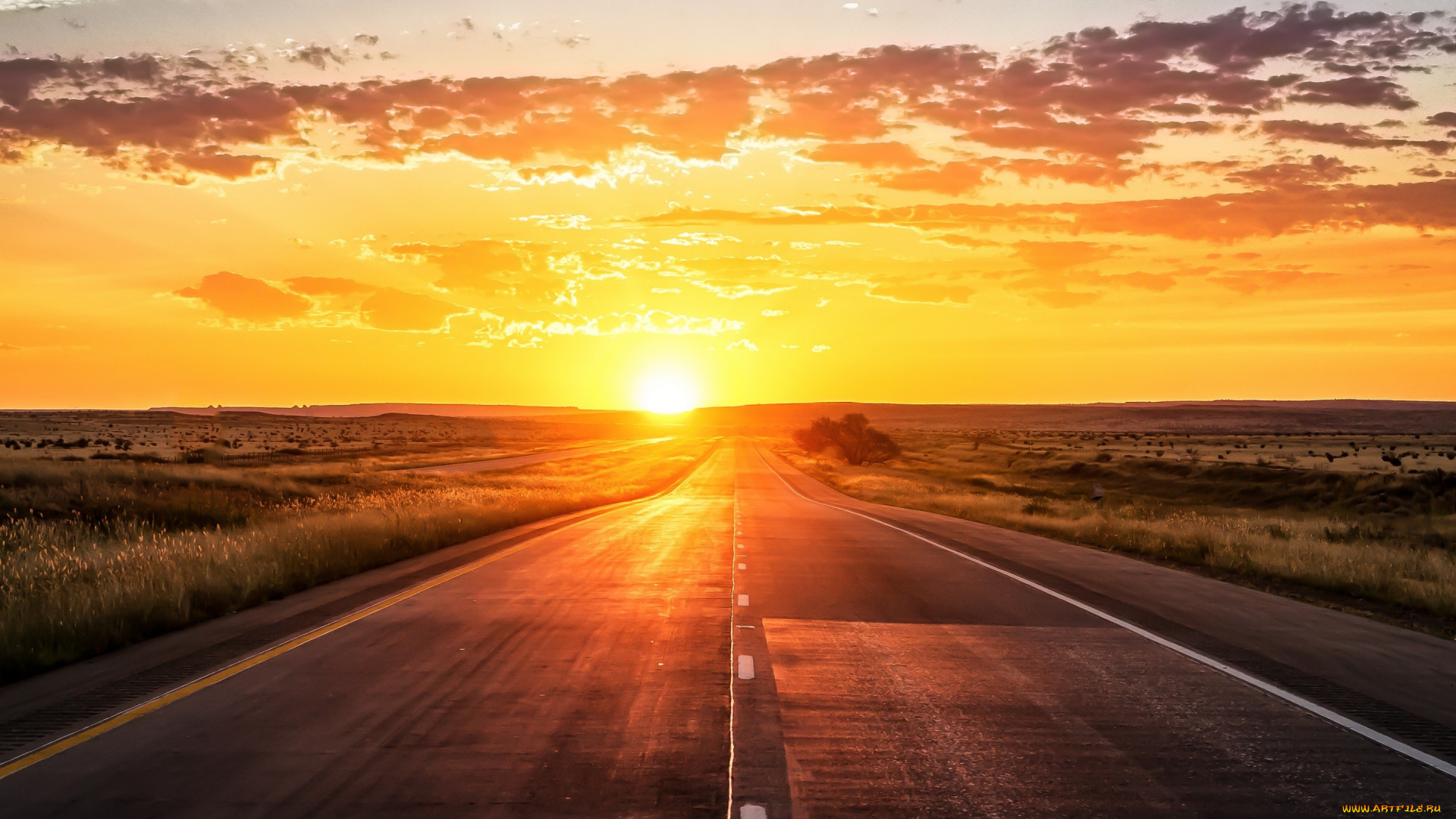 природа, восходы, закаты, дорога, закат, sun, sunset, road, route