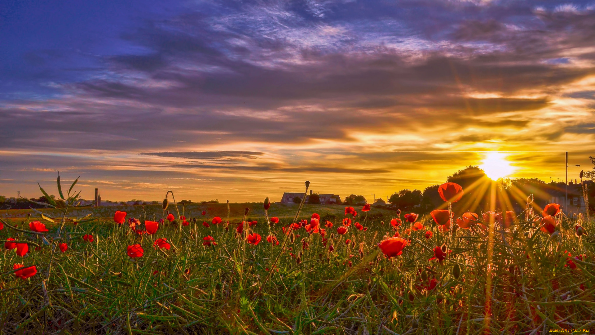 природа, восходы, закаты, рассвет