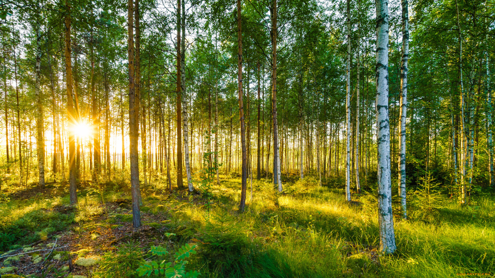 природа, восходы, закаты, рассвет