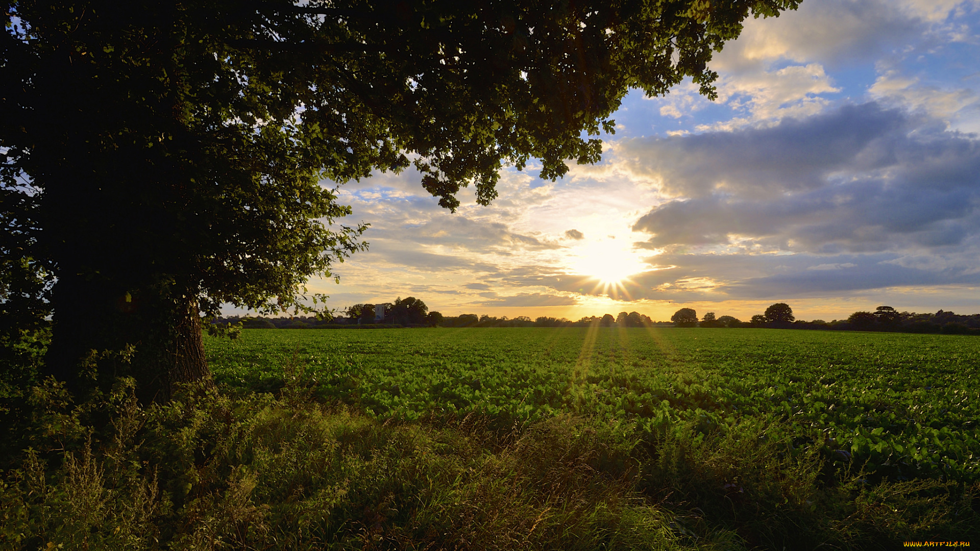 природа, восходы, закаты, утро, рассвет, поле
