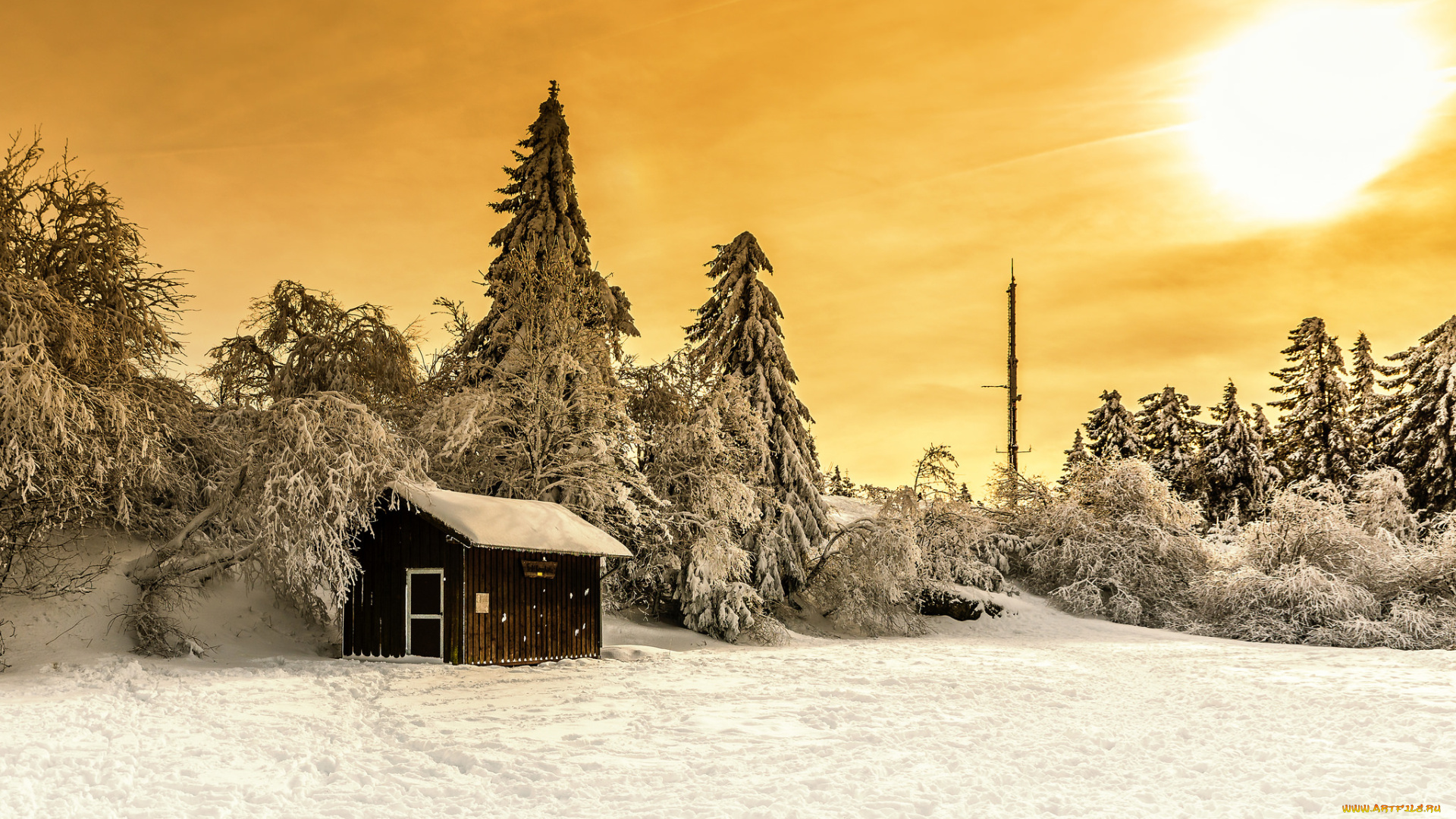 природа, зима, снег, ели