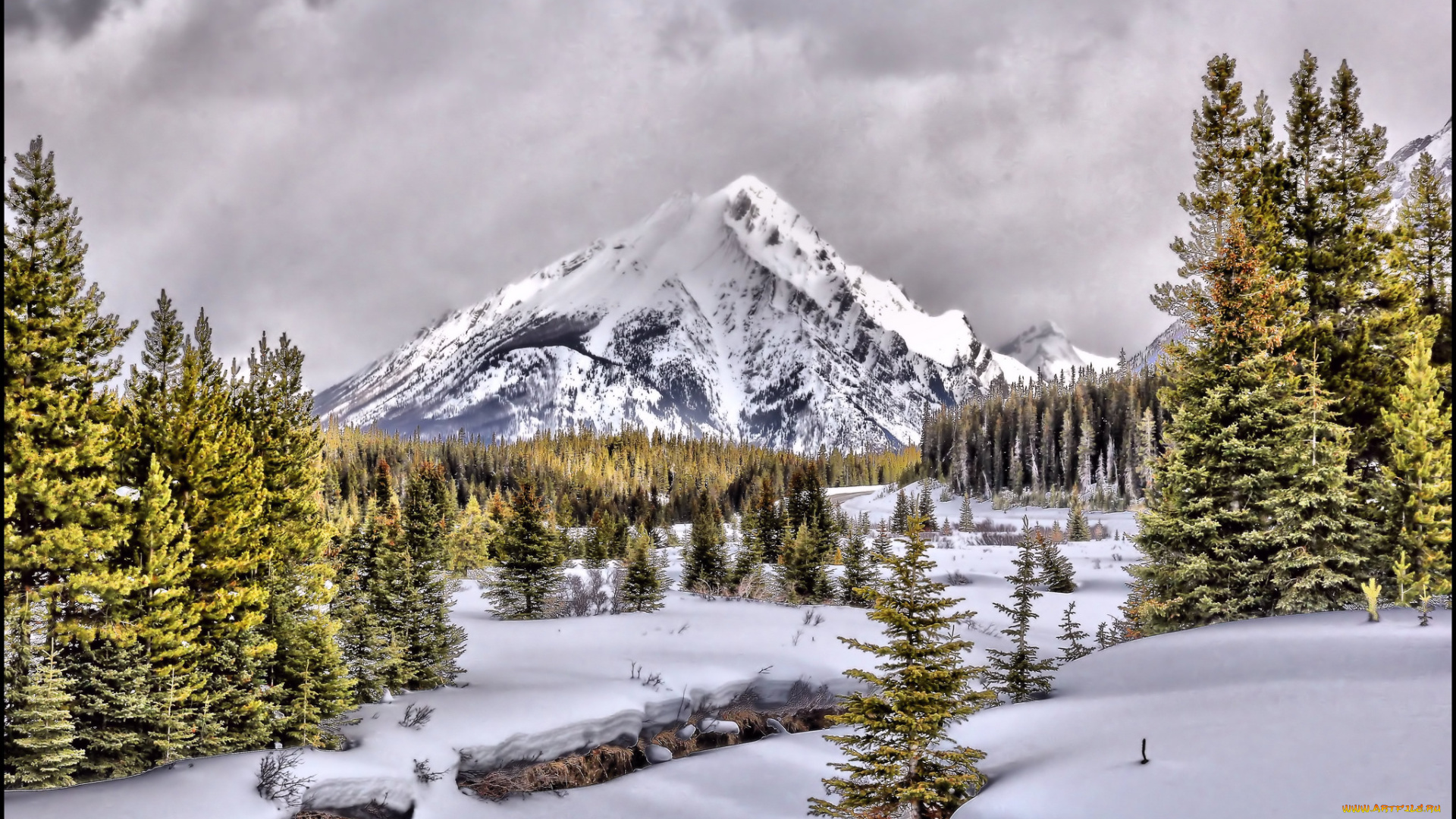 природа, зима, снега, лес, горы