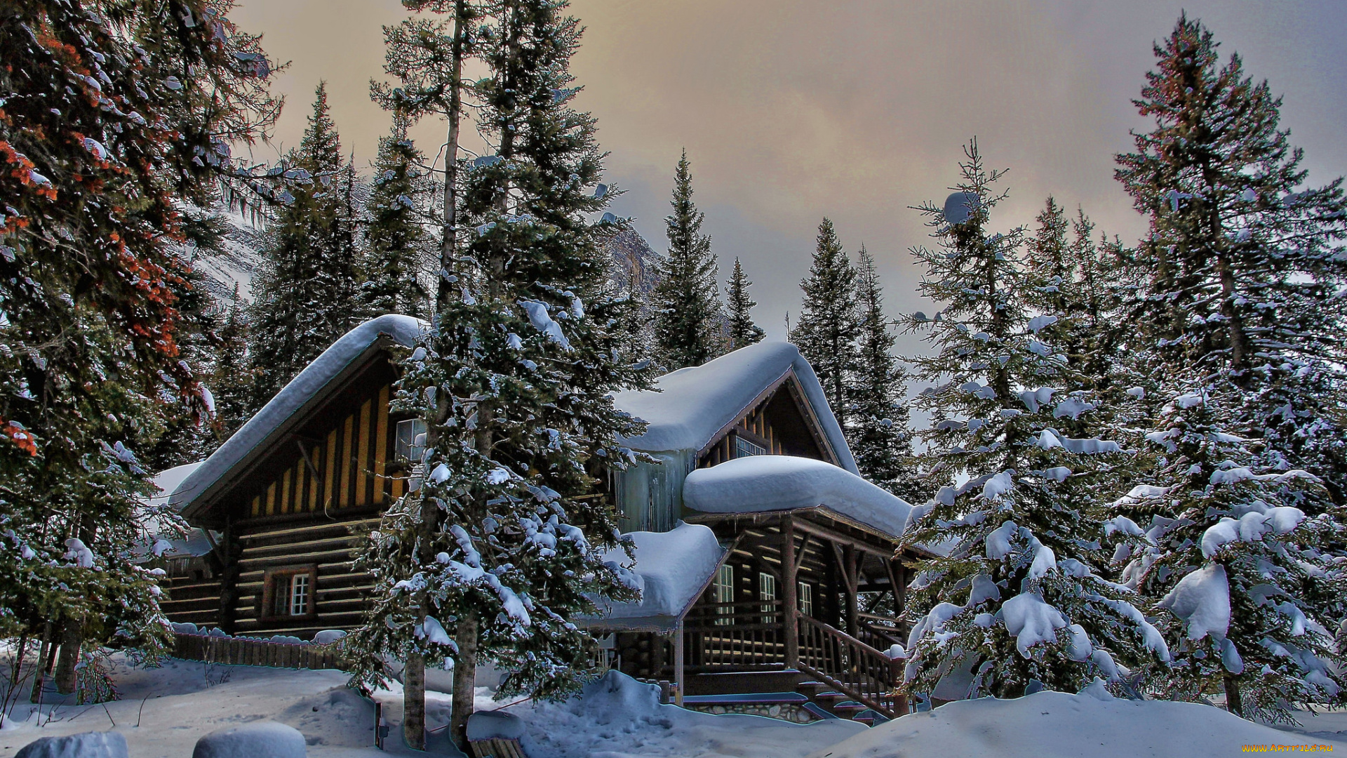 природа, зима, сугробы, домик, снег, ели