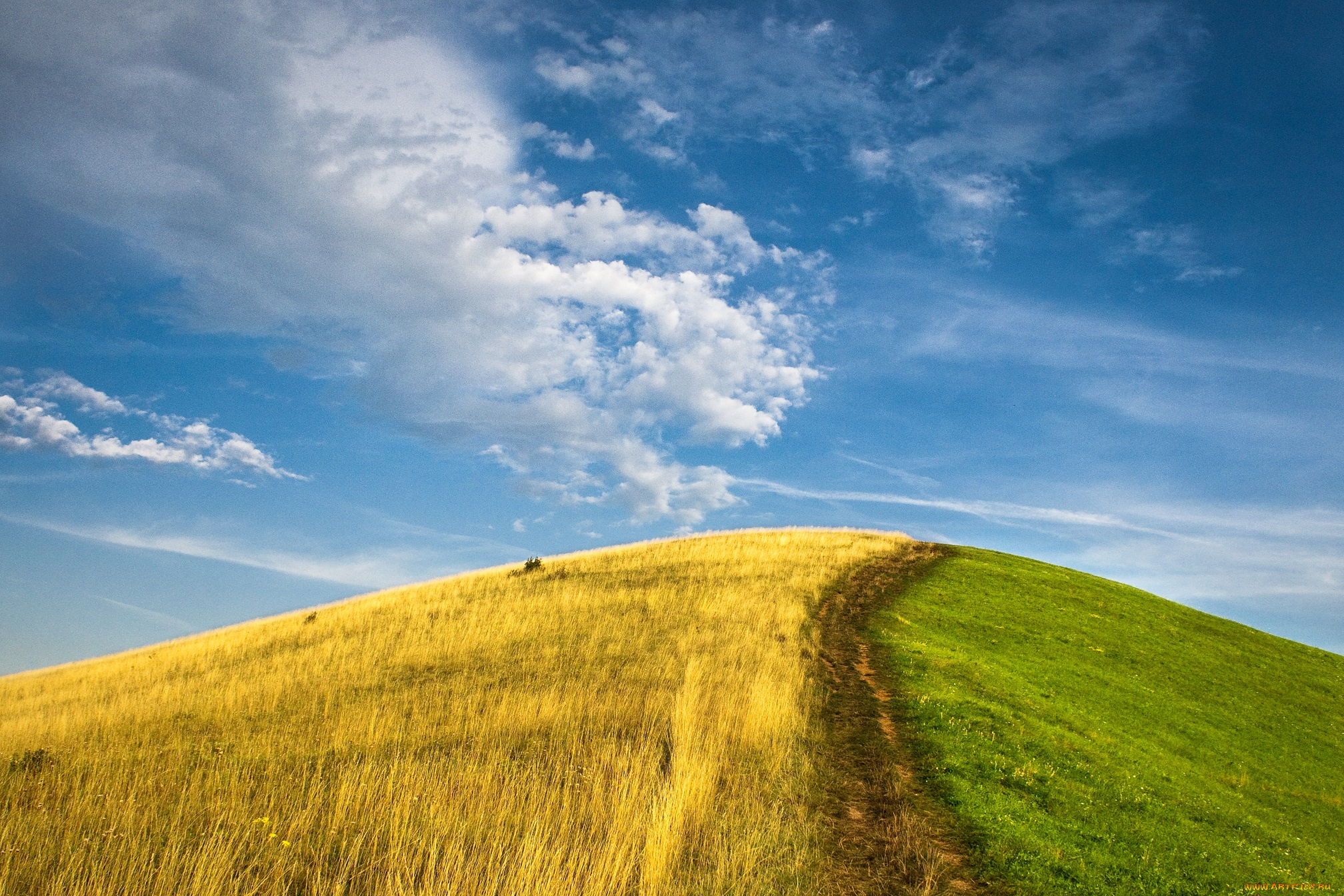 природа, луга, холм