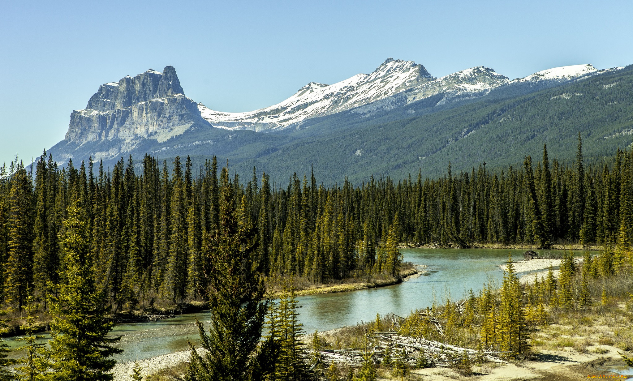 природа, реки, озера, река, лес