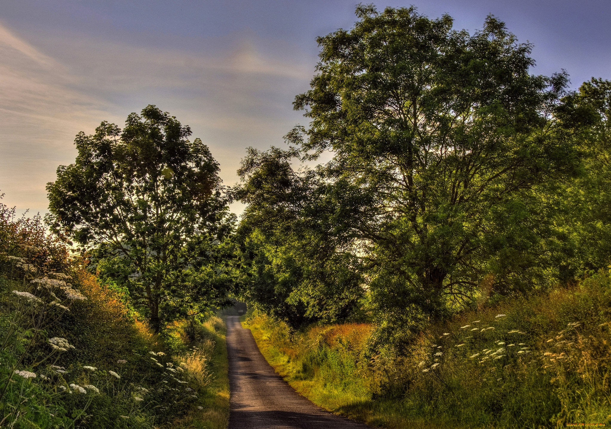 природа, дороги, дорога, лес