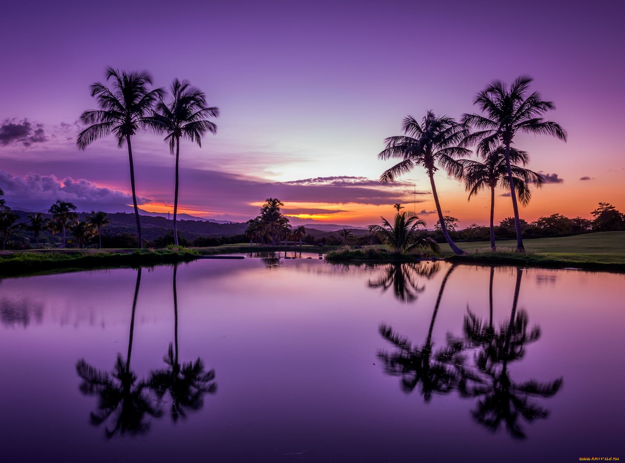 природа, тропики, рассвет