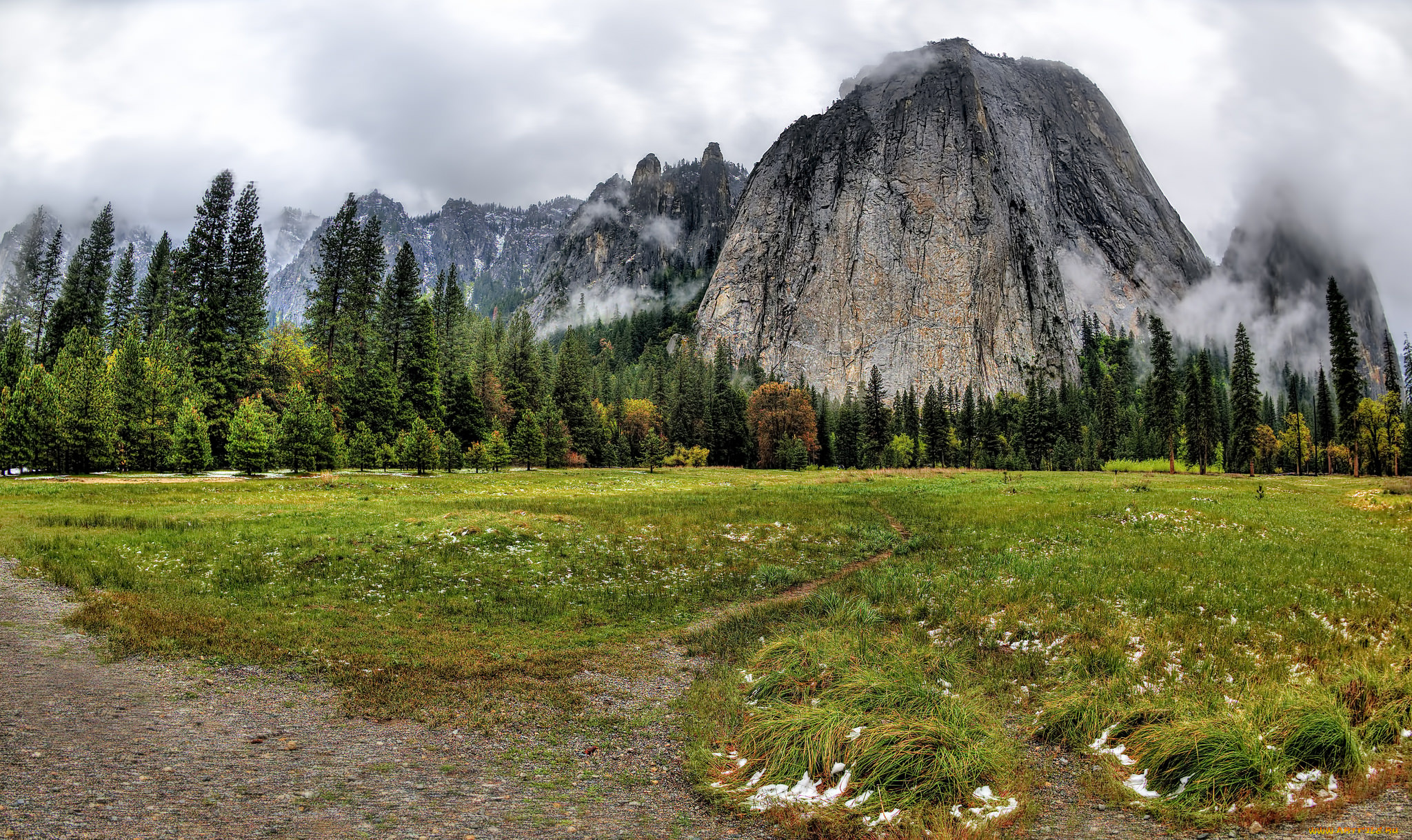 природа, горы, гора, лес