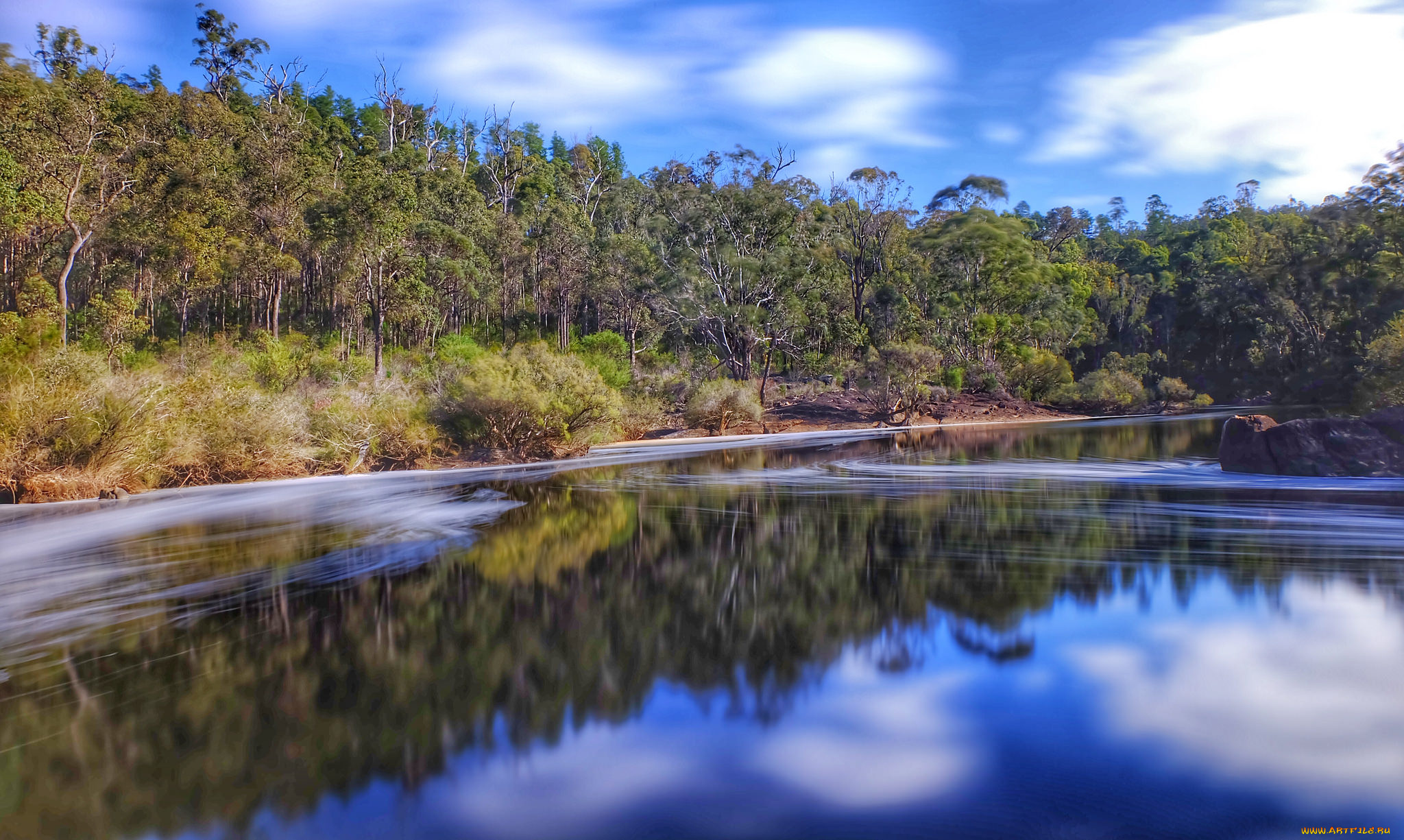 природа, реки, озера, лес, река