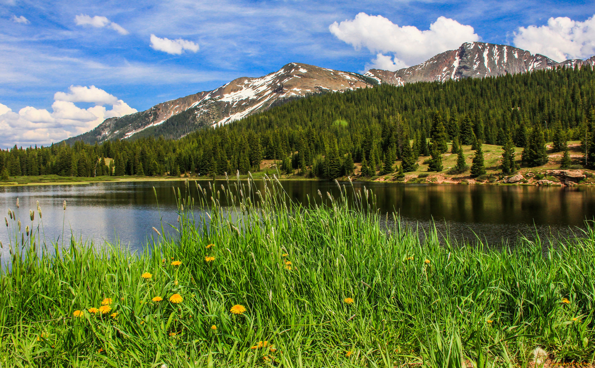 природа, реки, озера, река, лес