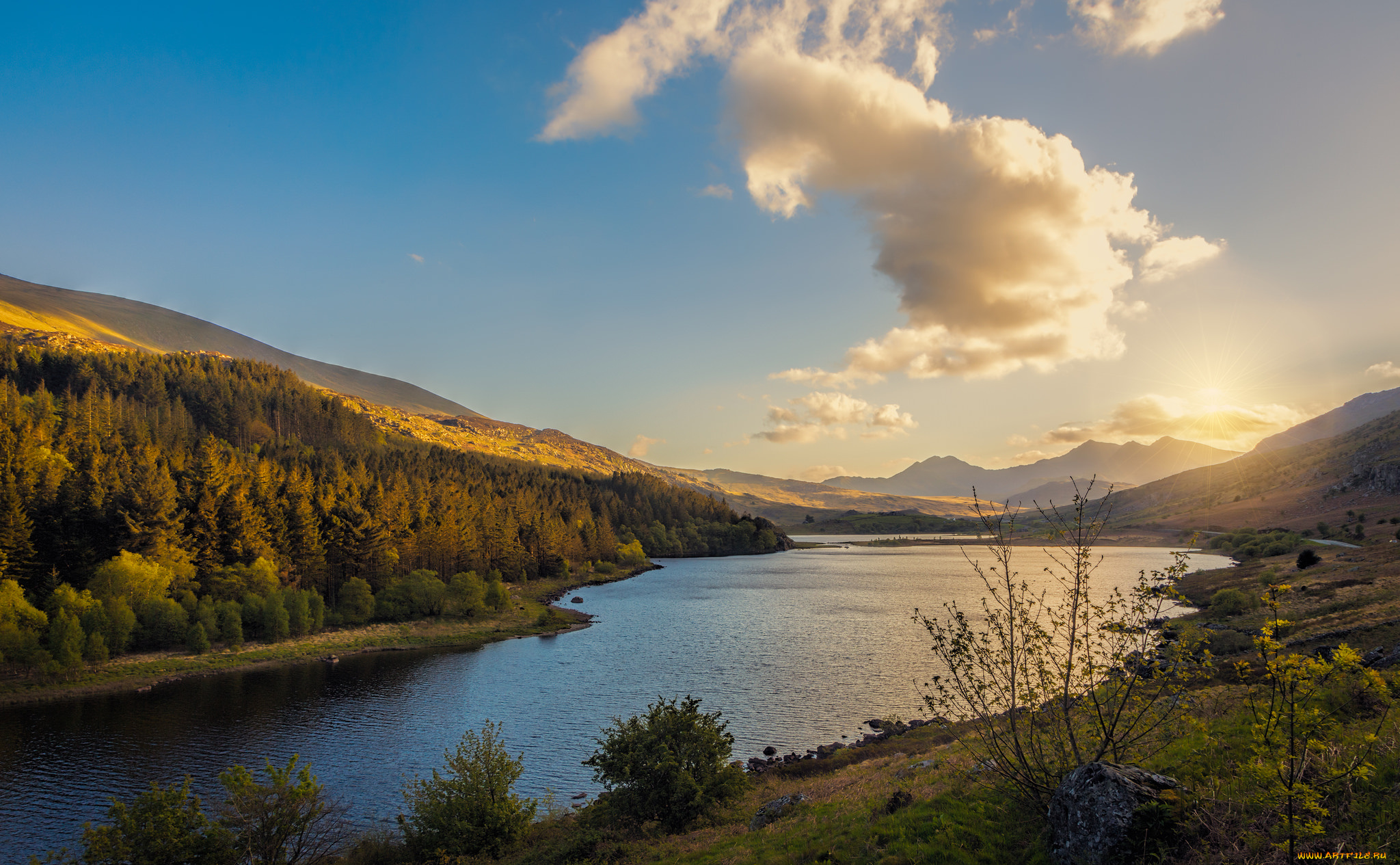 природа, восходы, закаты, река, лес