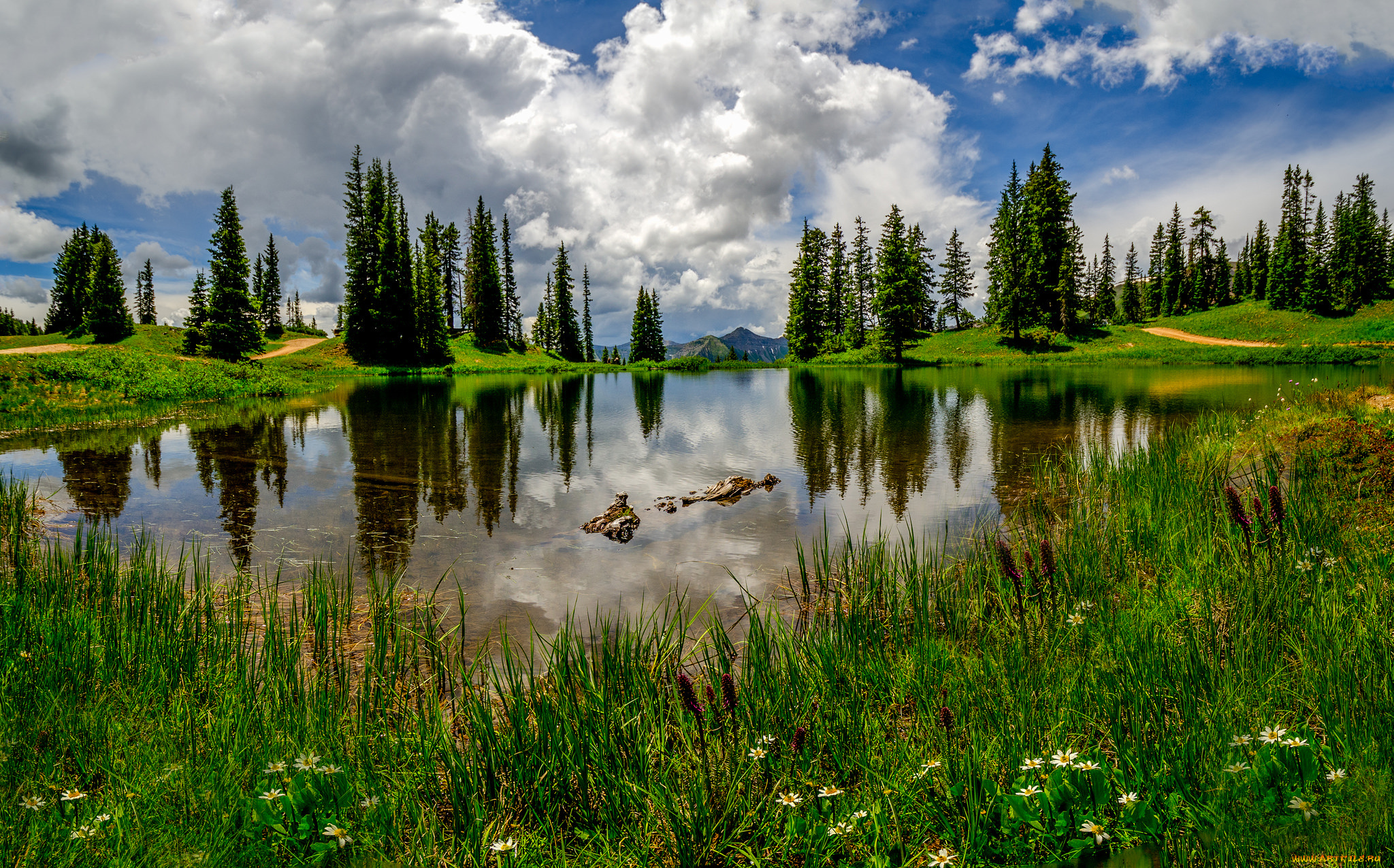 природа, реки, озера, лес, озеро