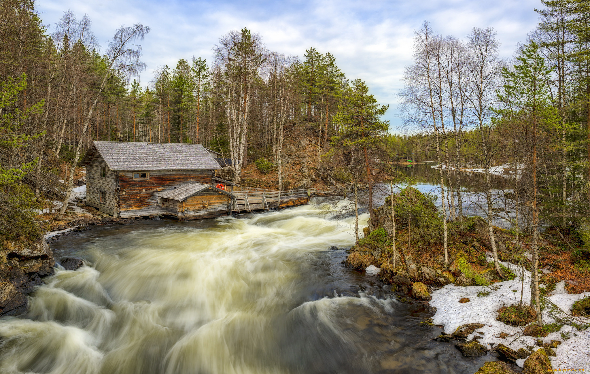 природа, реки, озера, лес, река