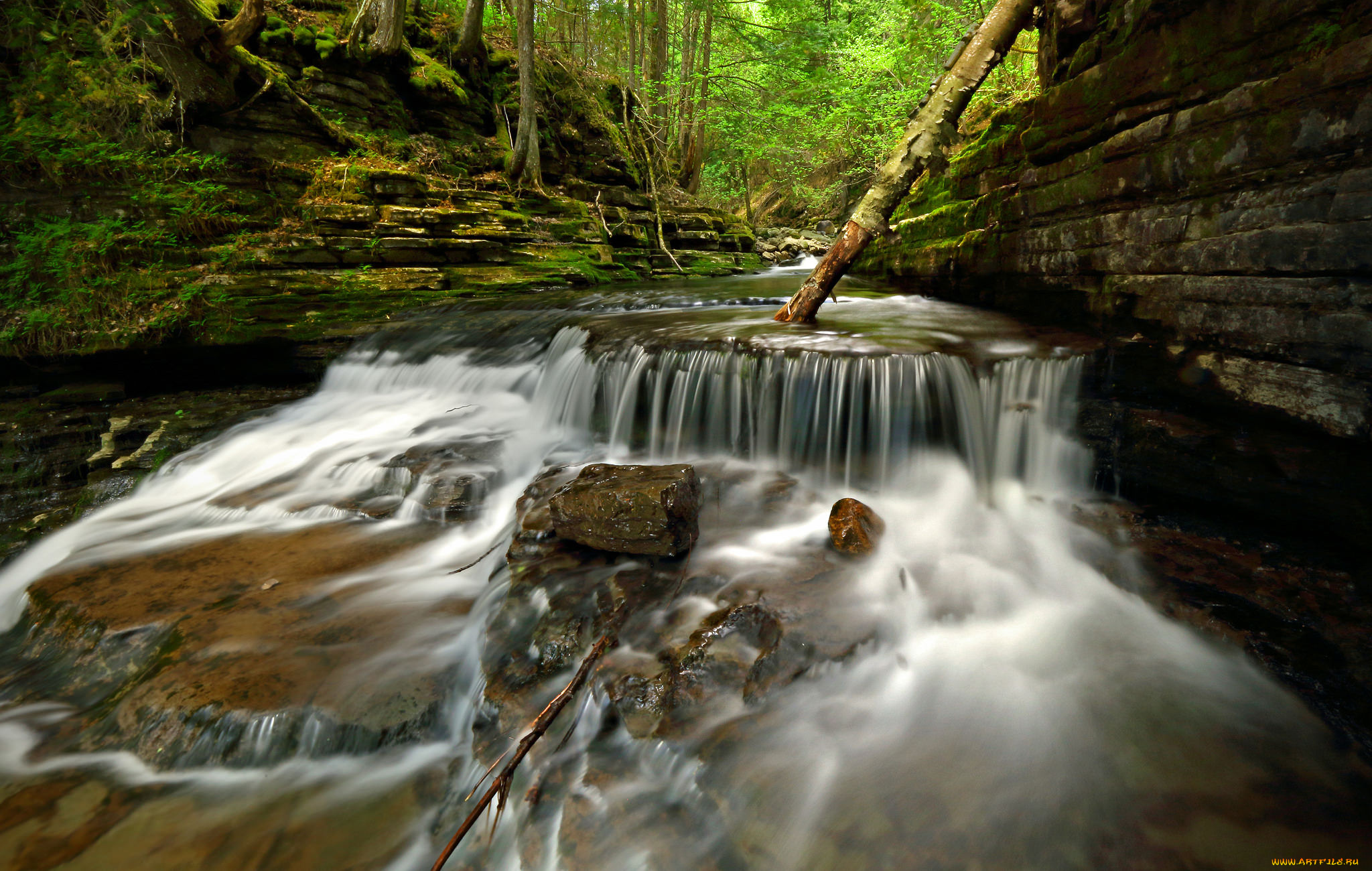 природа, водопады, лес, река, водопад