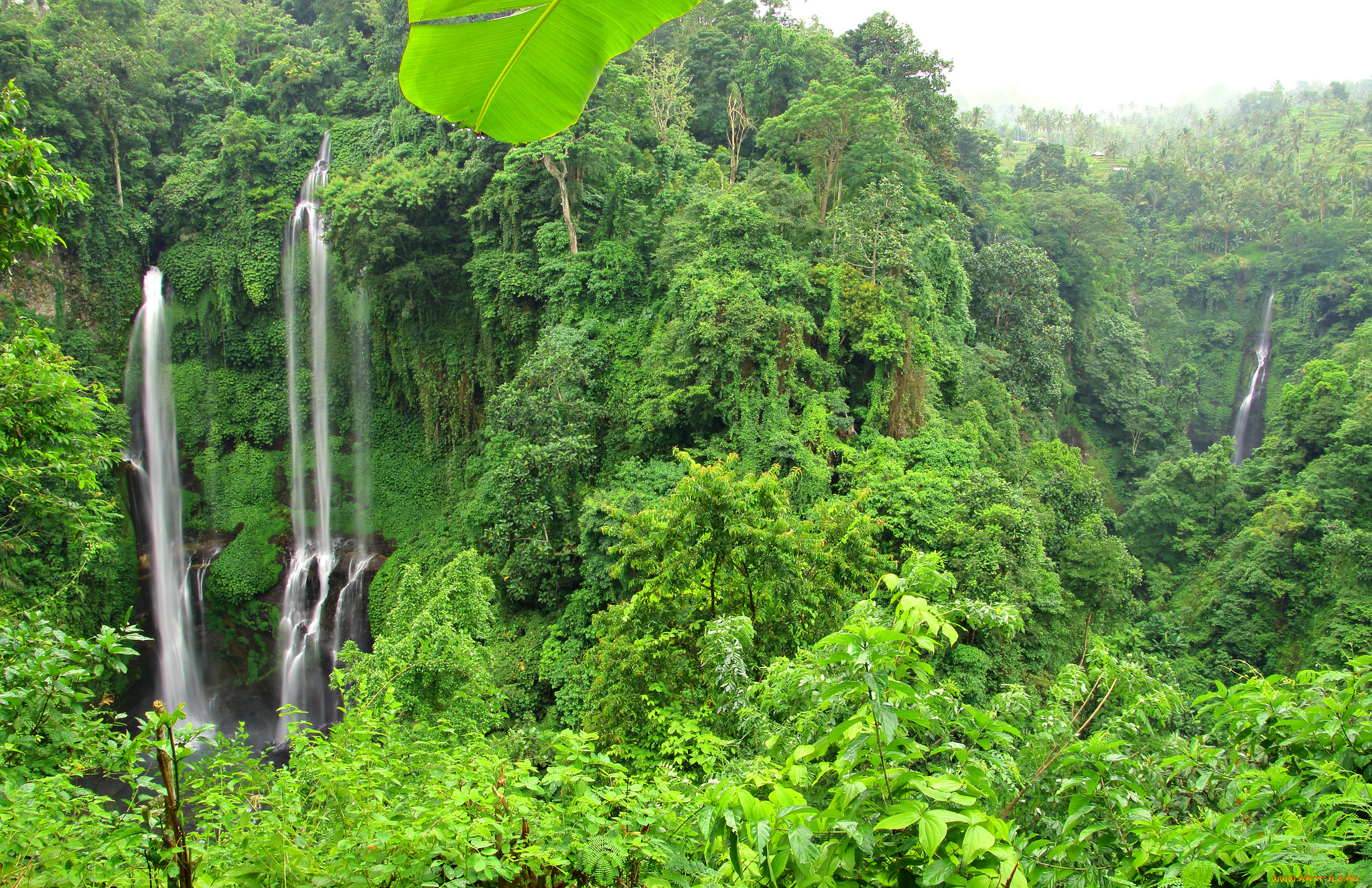 природа, водопады, лес, река, водопад
