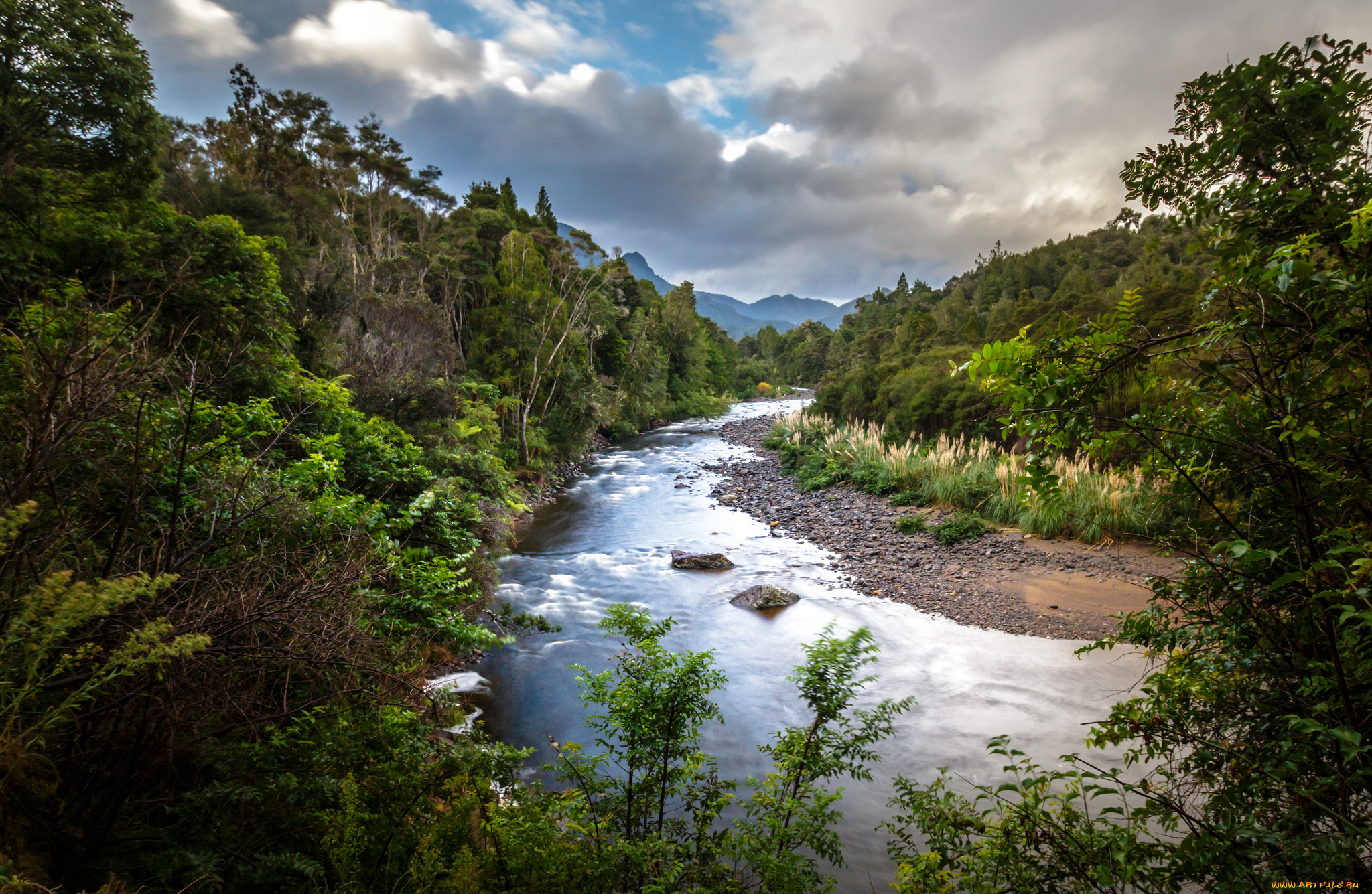 природа, реки, озера, река, лес, горы