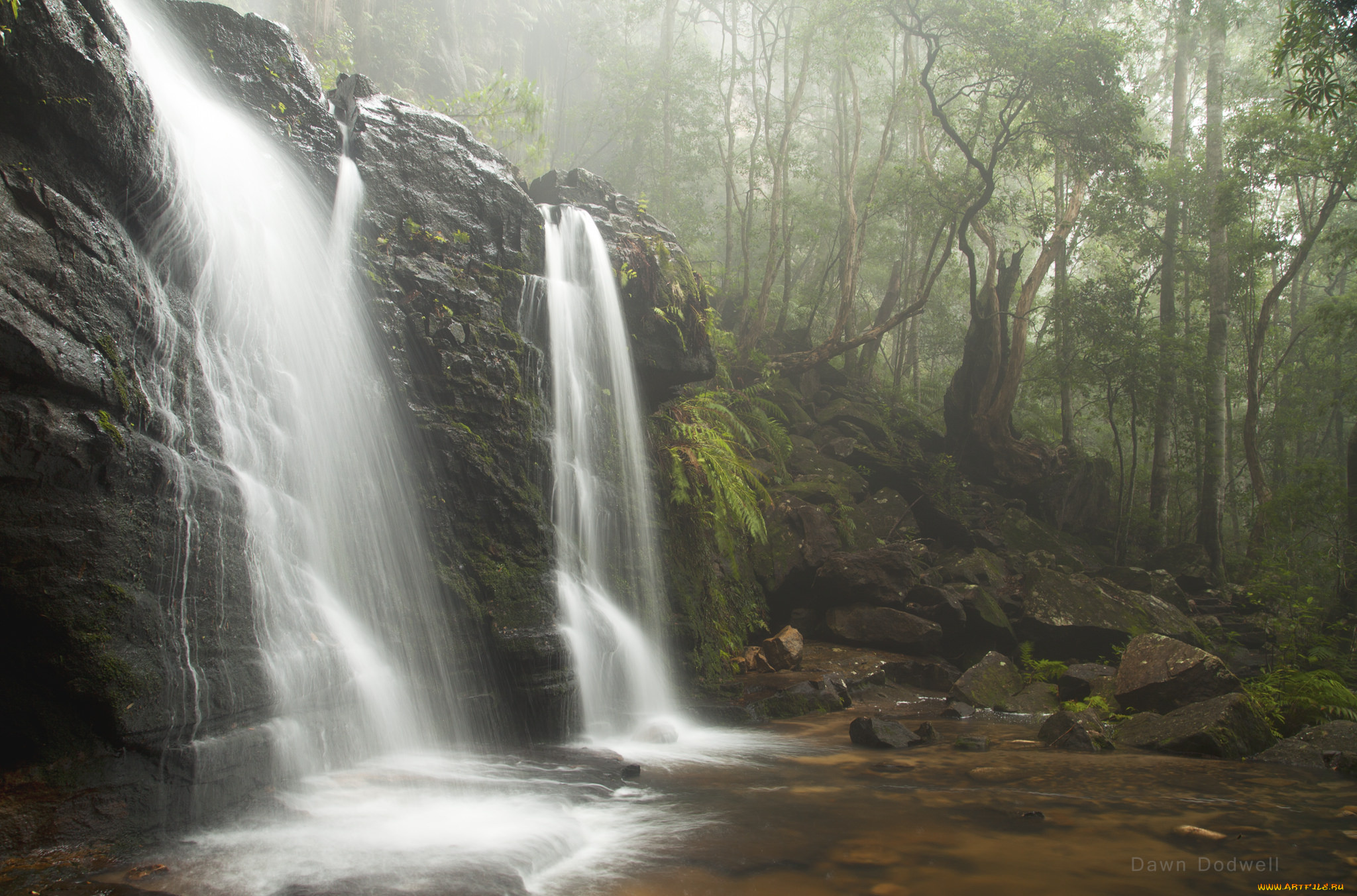 природа, водопады, водопад, лес