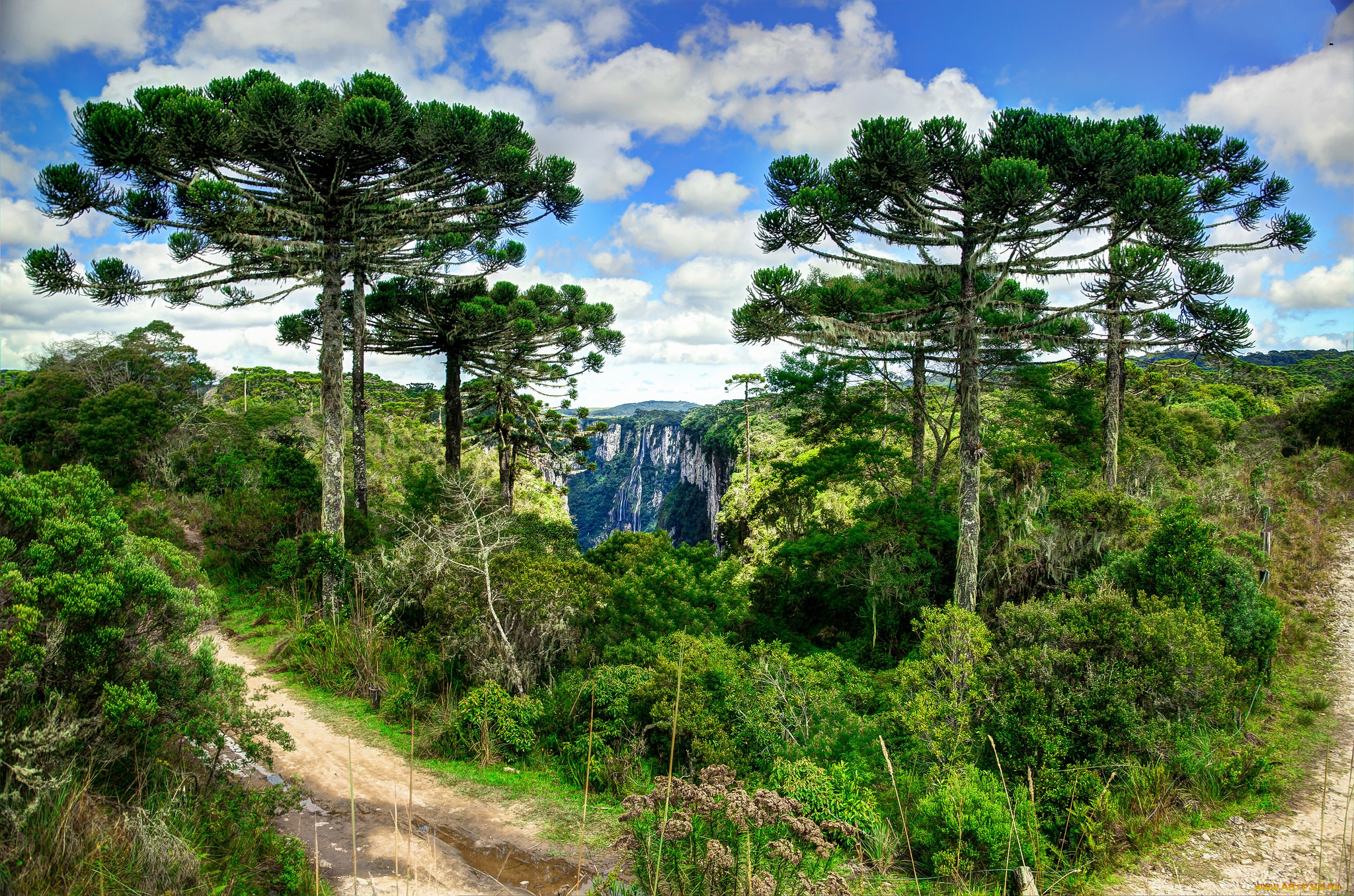 природа, дороги, дорожка, лес, ущелье, горы