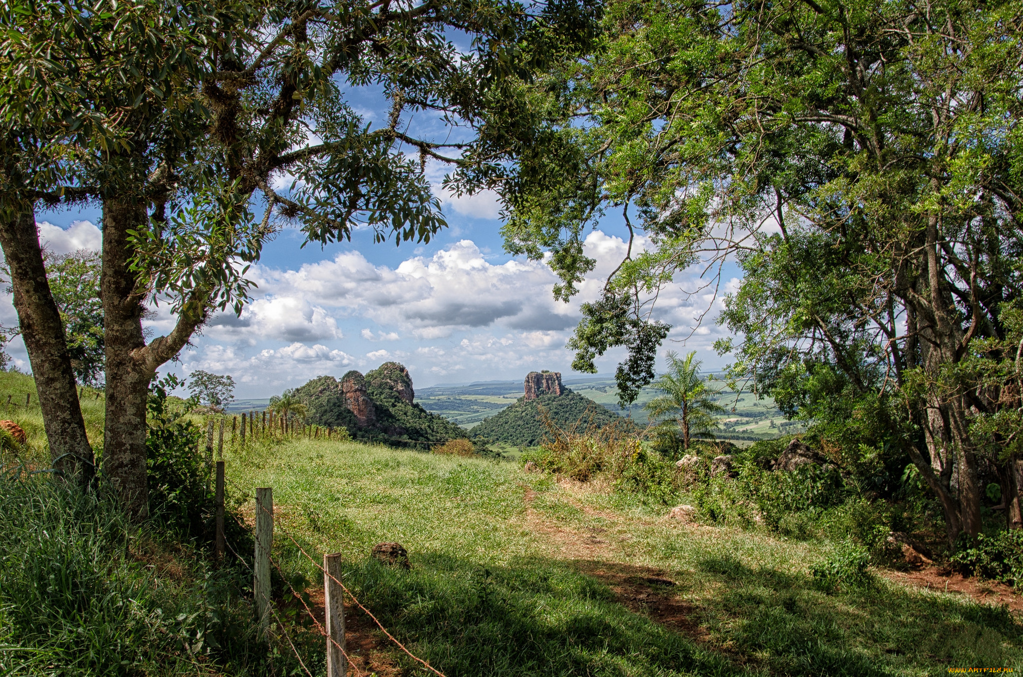 природа, пейзажи, холмы, тропа, лес