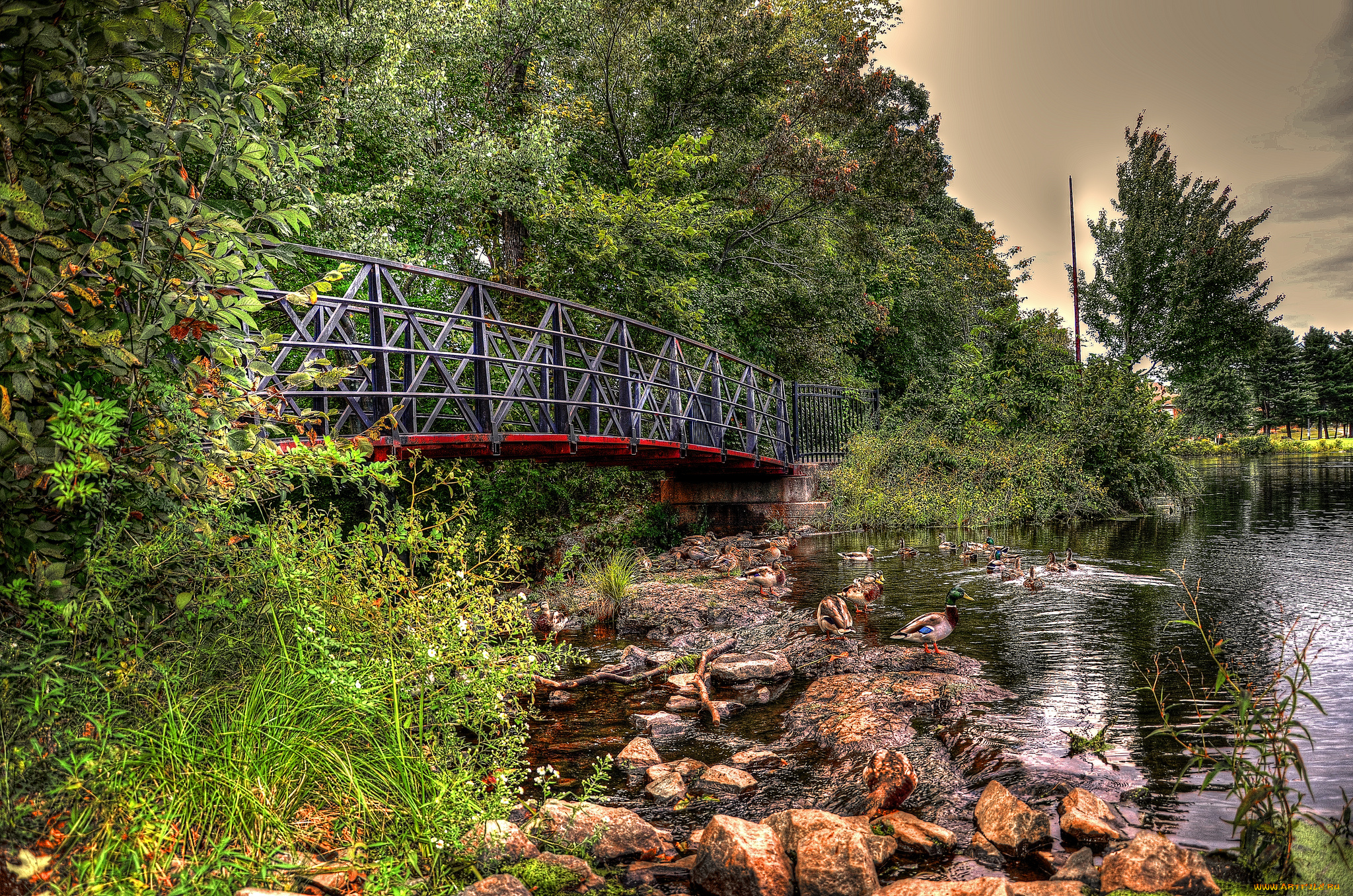 природа, реки, озера, лес, река