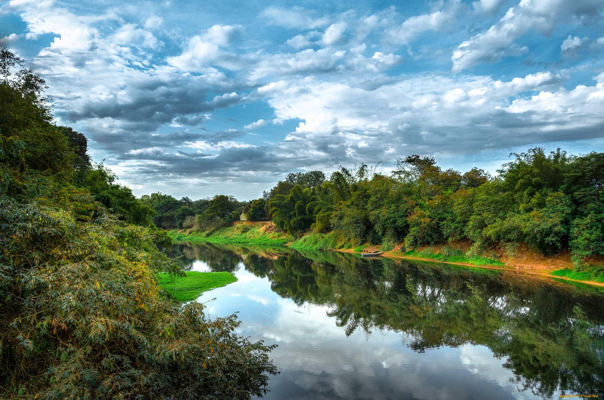 природа, реки, озера, река, лес