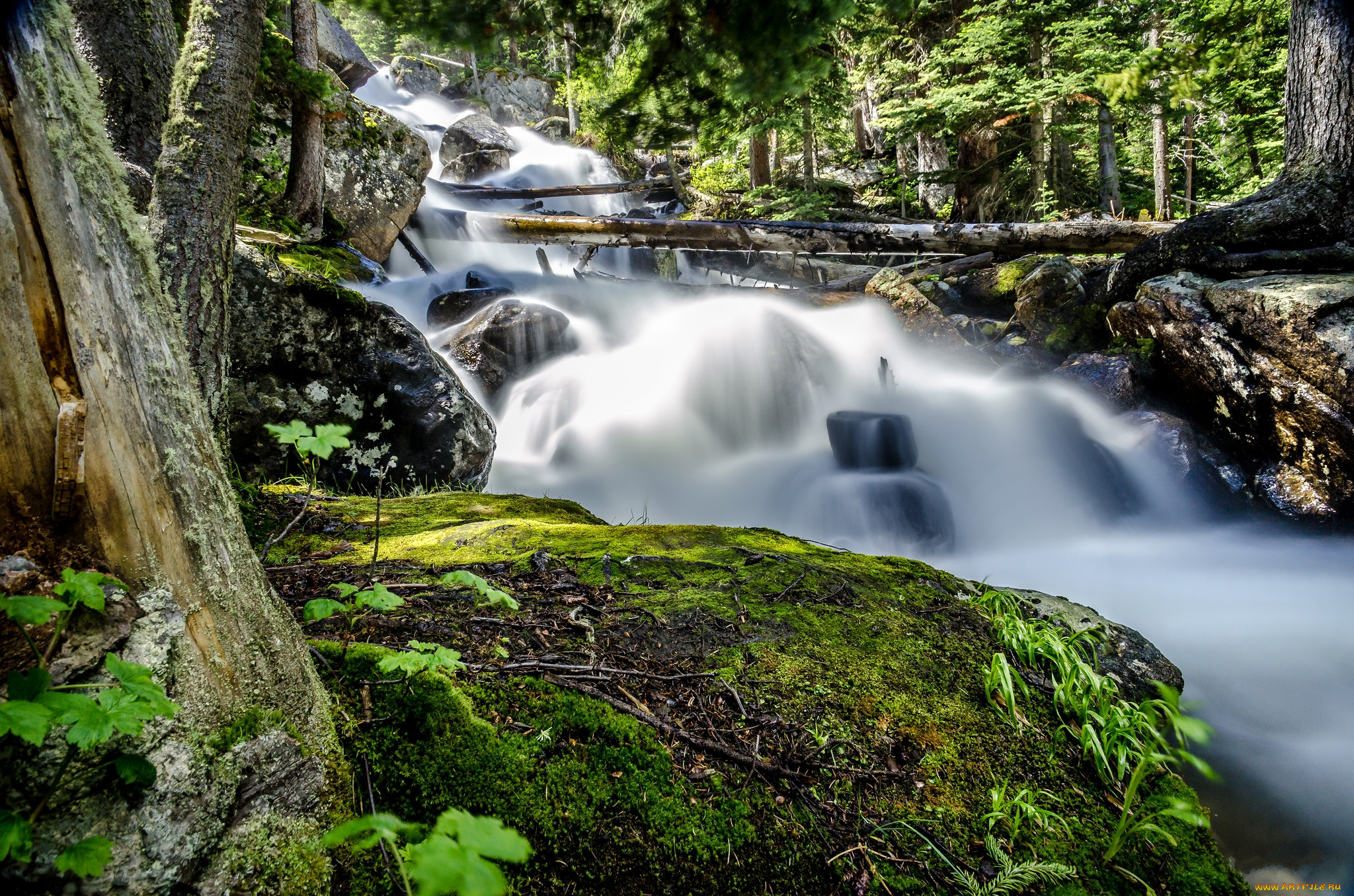 природа, водопады, лес, река, водопад