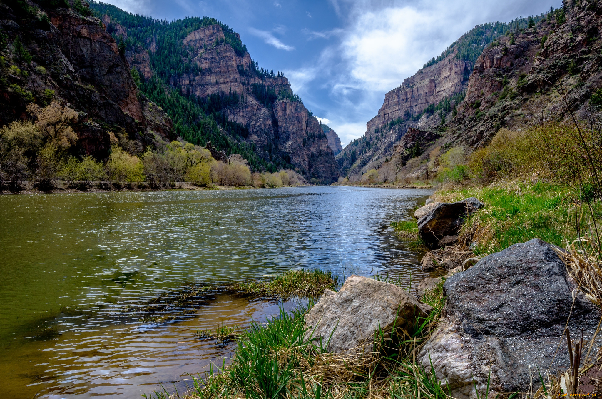 природа, реки, озера, лес, река