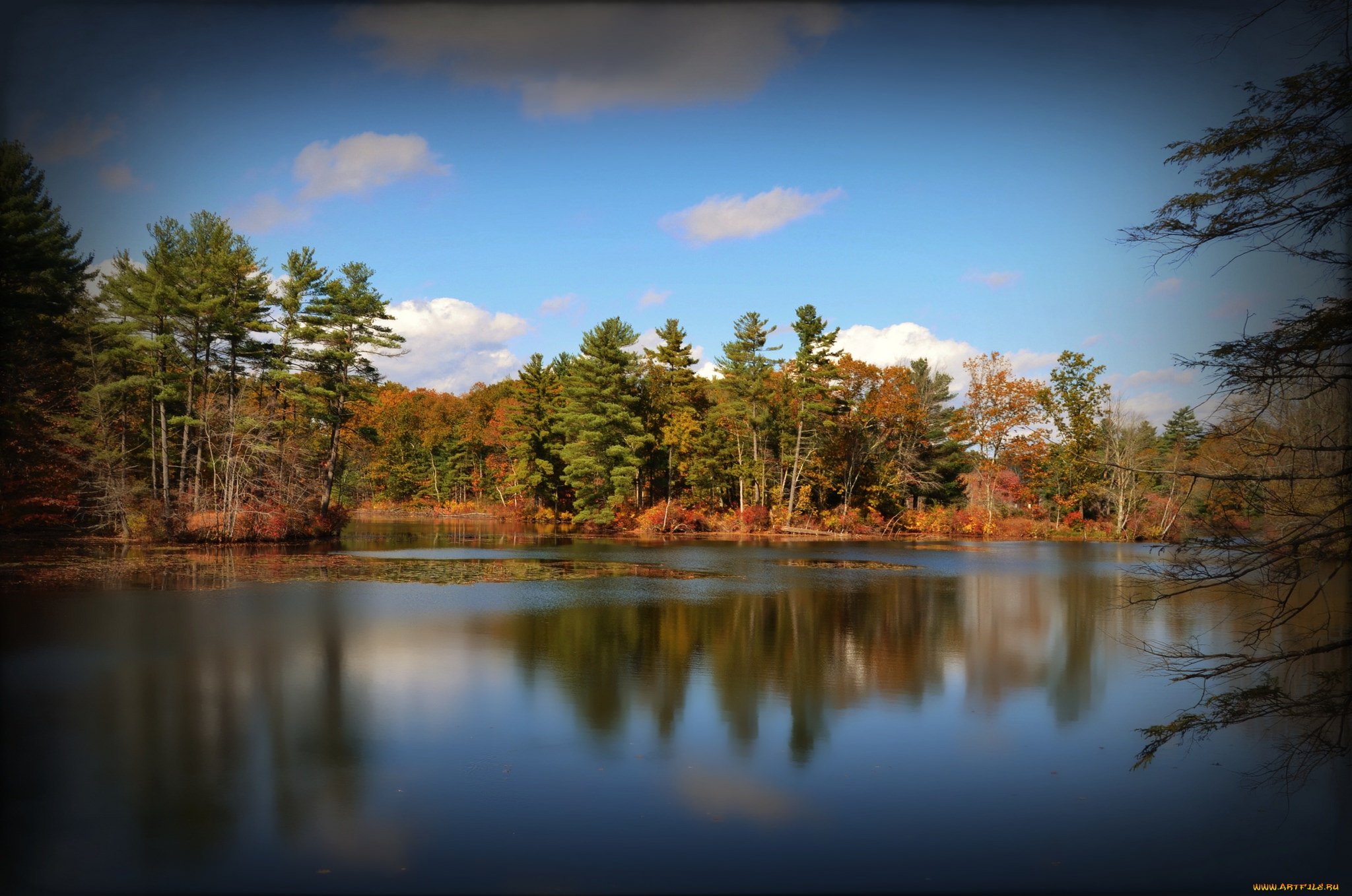 природа, реки, озера, лес, река