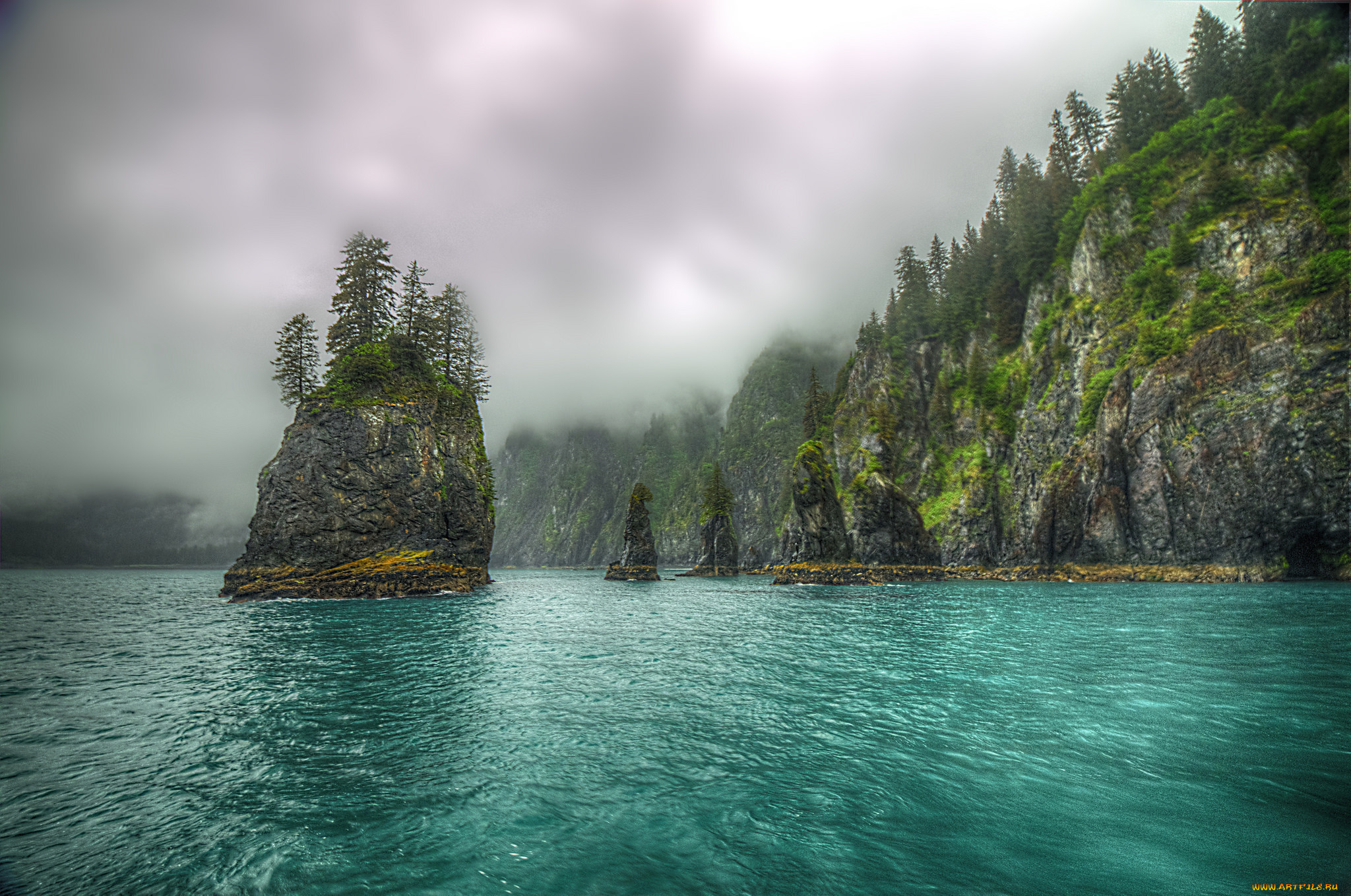 природа, реки, озера, лес, река