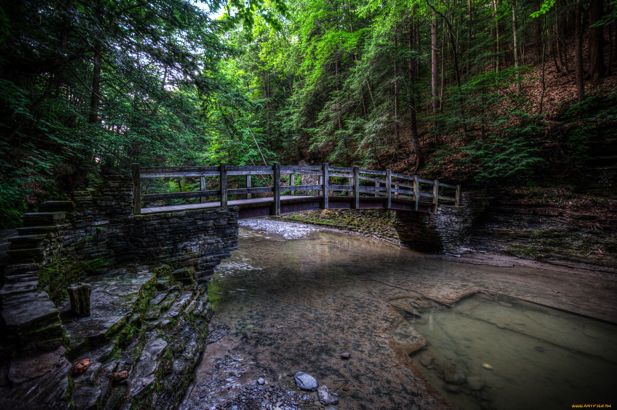 природа, реки, озера, мостик, лес, река