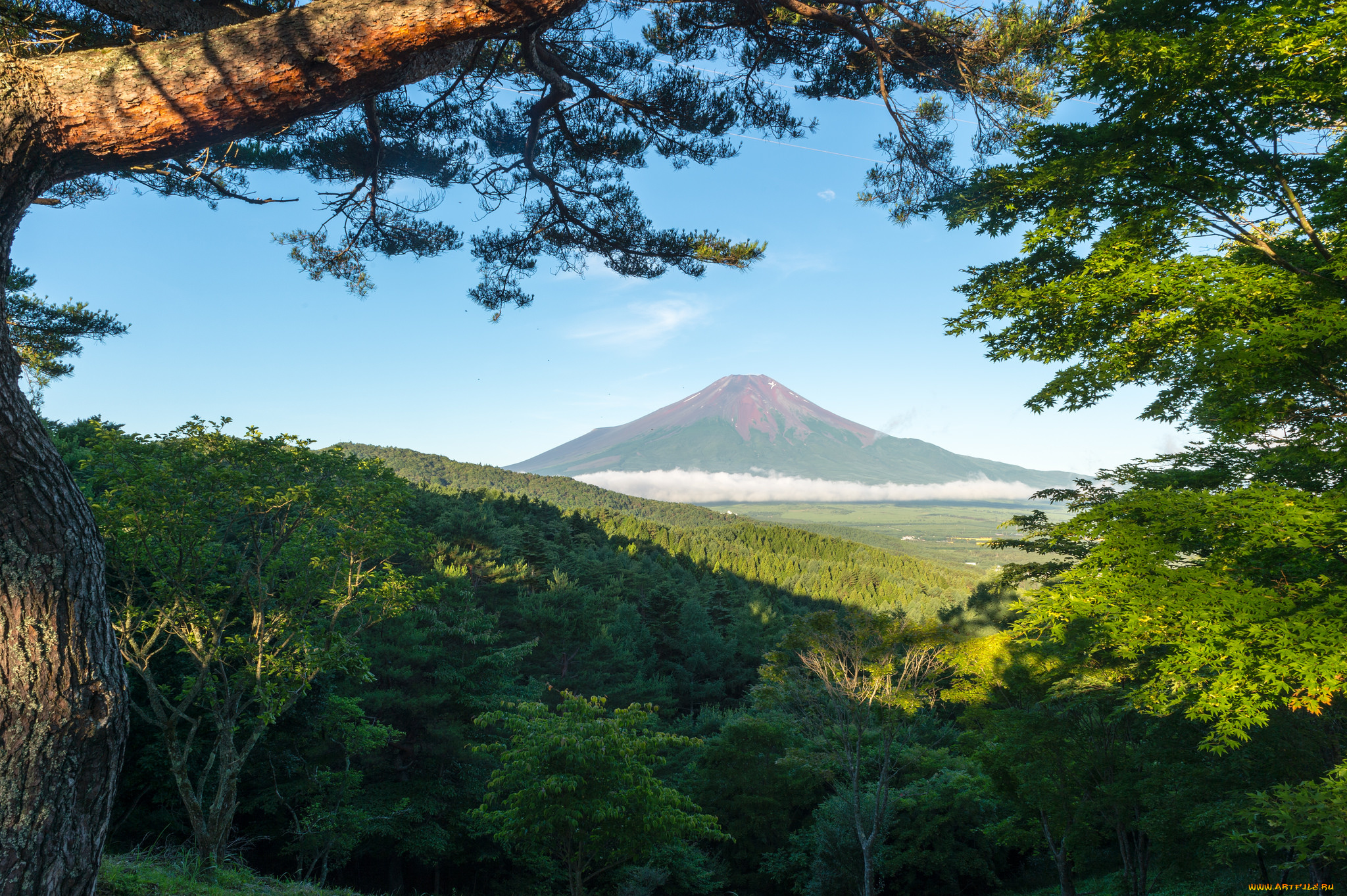 природа, горы, деревья, небо, гора