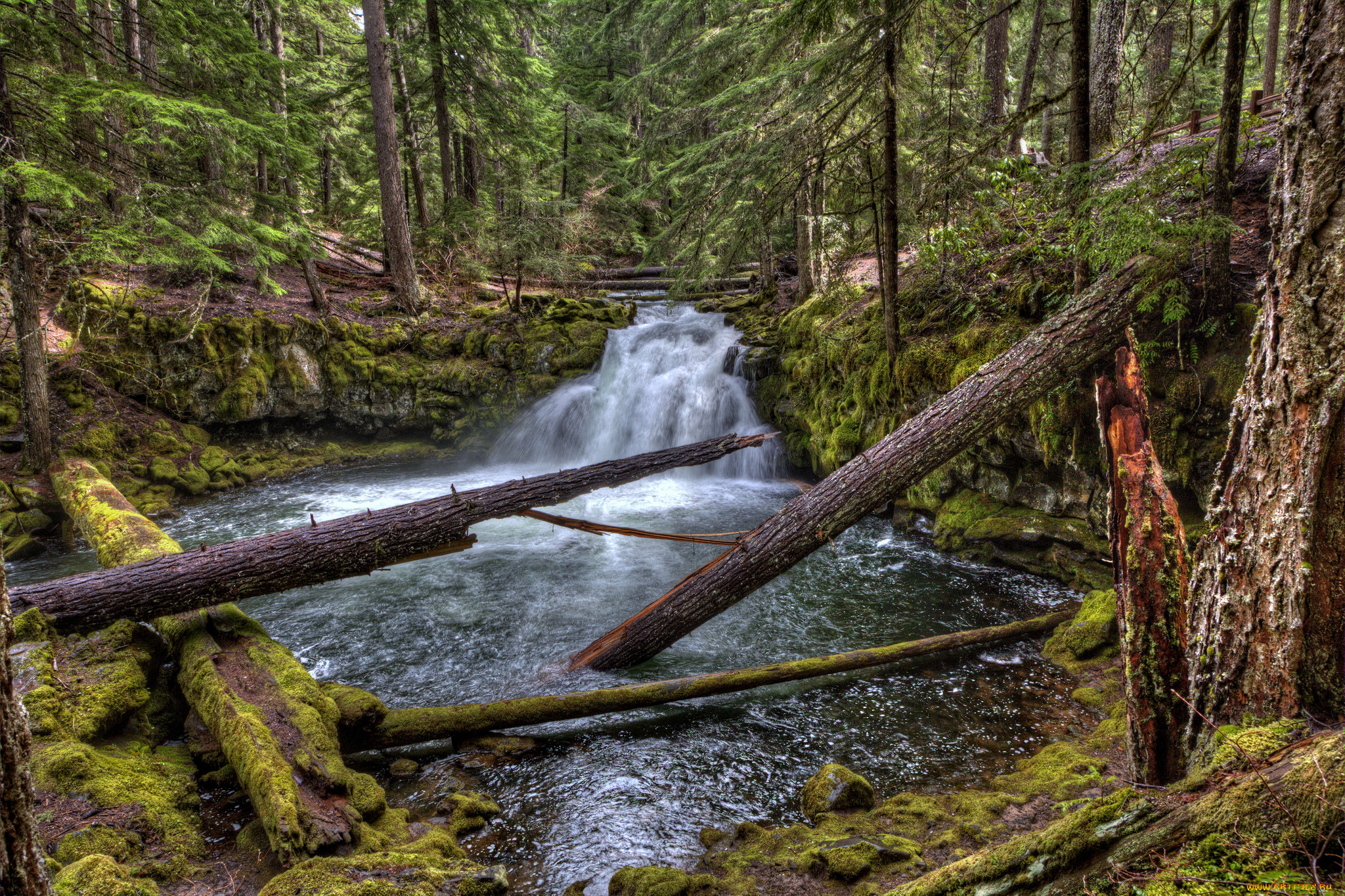 природа, водопады, лес, река, водопад