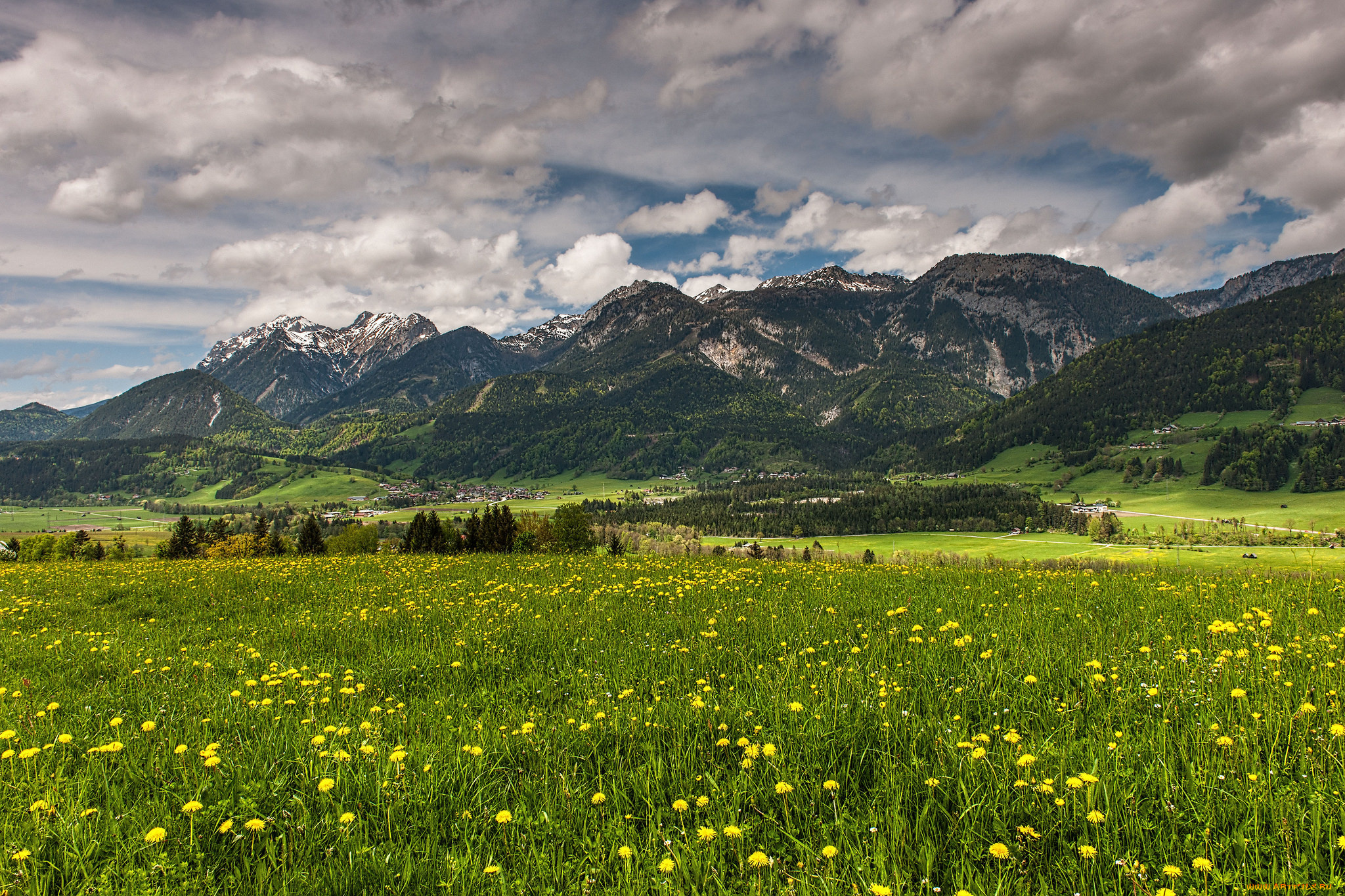 природа, луга, цветы, трава, долина, горы