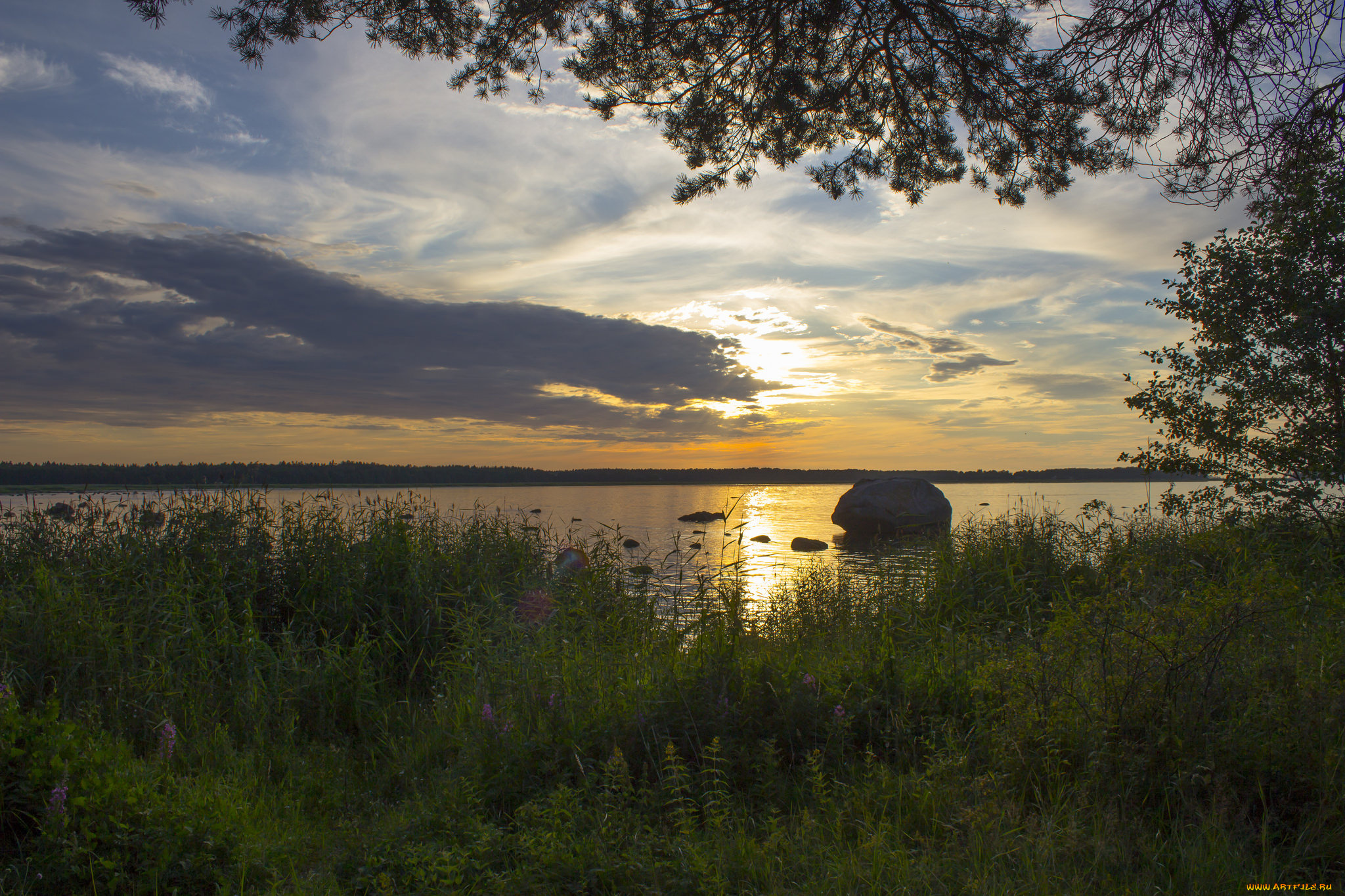 природа, реки, озера, лес, река