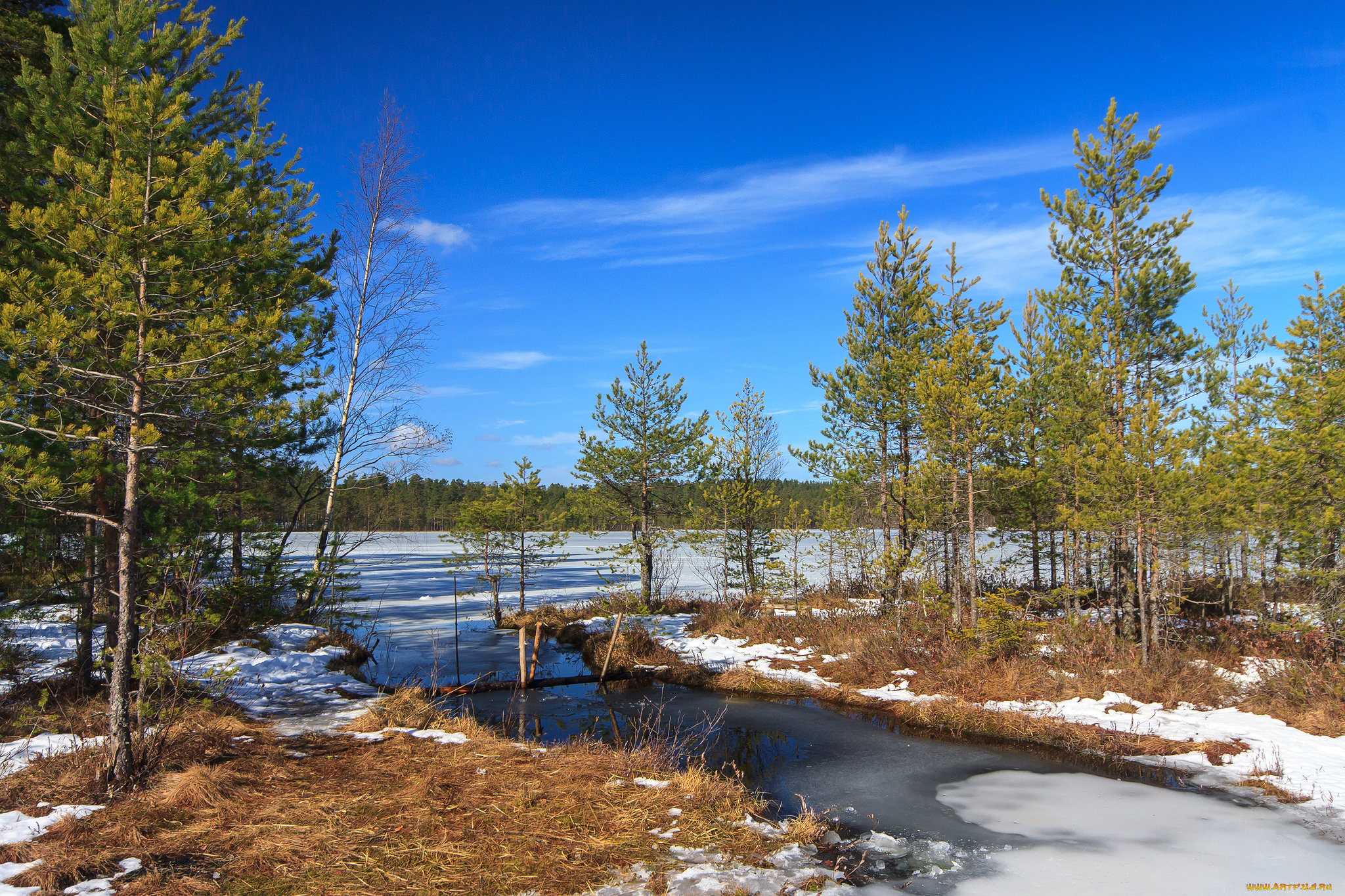 природа, реки, озера, лес, река