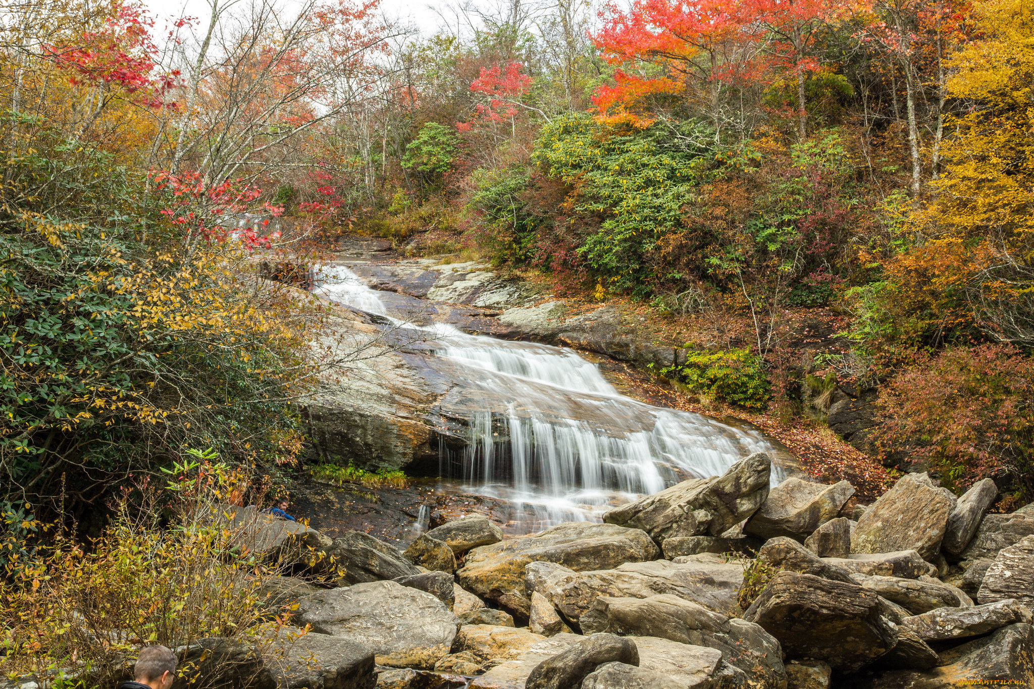 природа, реки, озера, река, лес