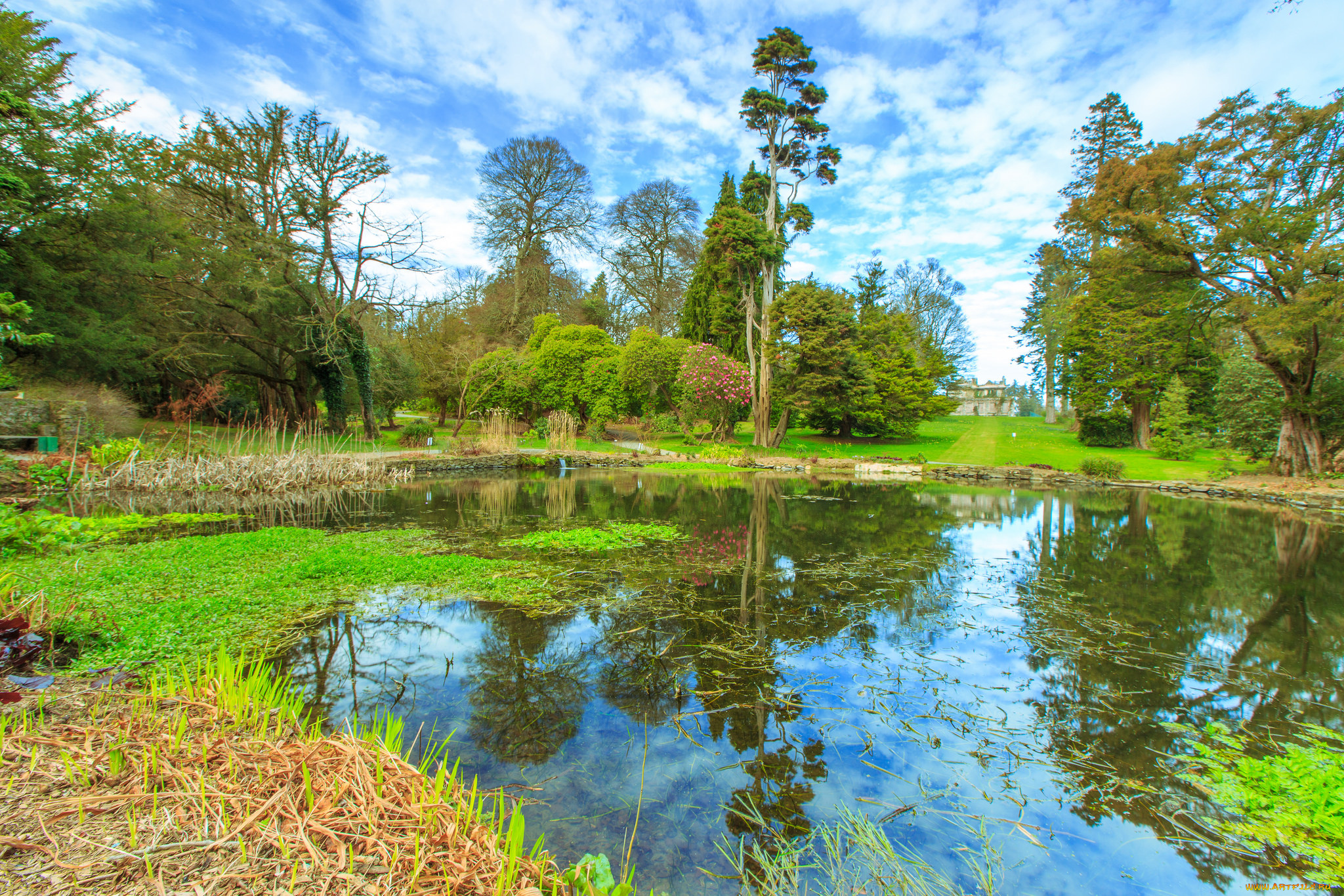 природа, реки, озера, река, лес