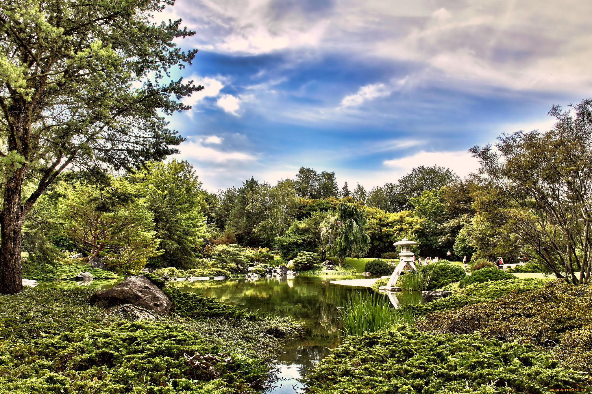 природа, реки, озера, река, лес