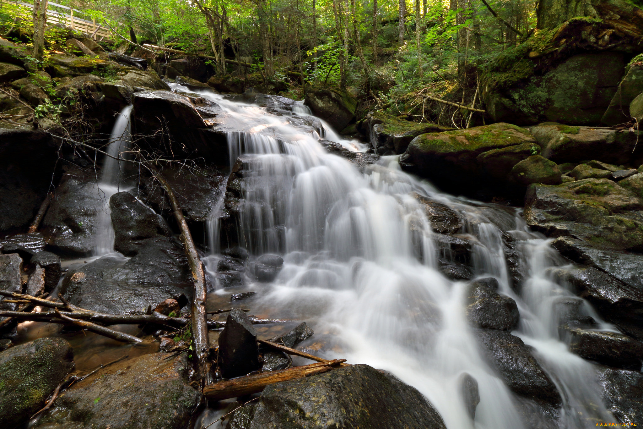 природа, водопады, лес, река, водопад
