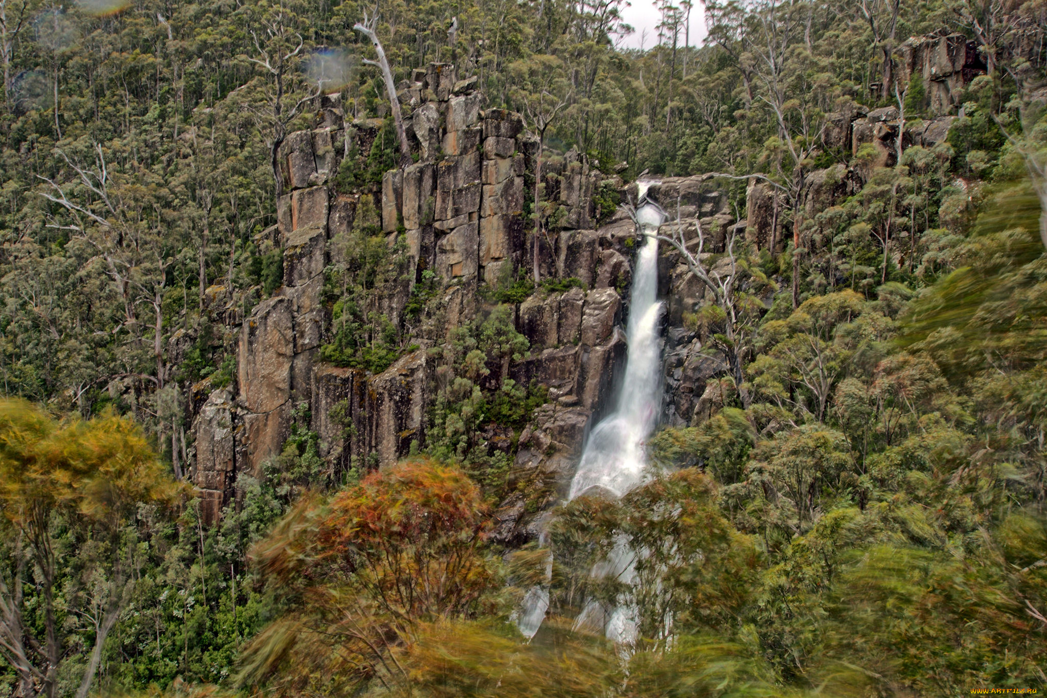 природа, водопады, лес, река, водопад