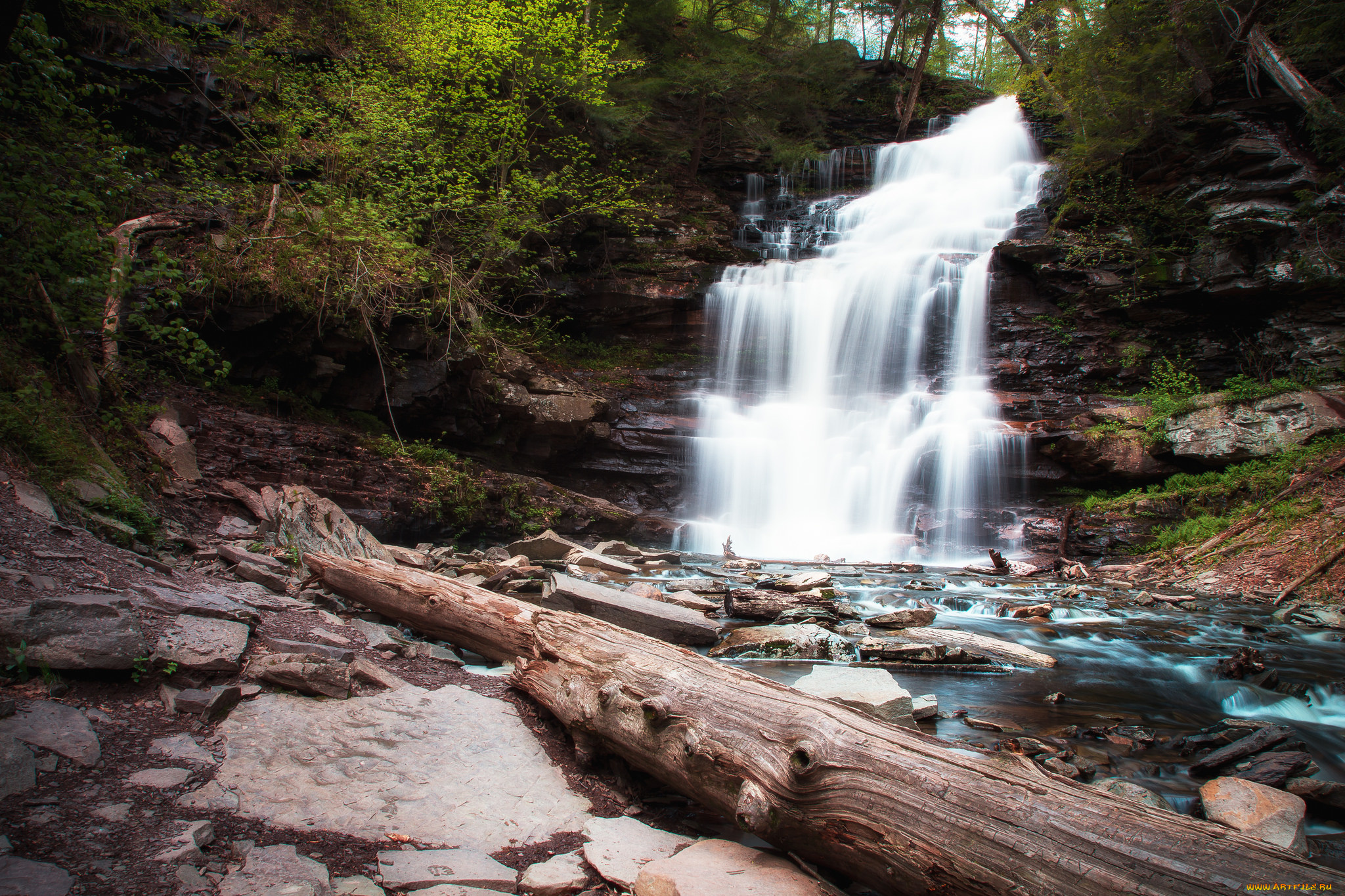 природа, водопады, лес, река, водопад