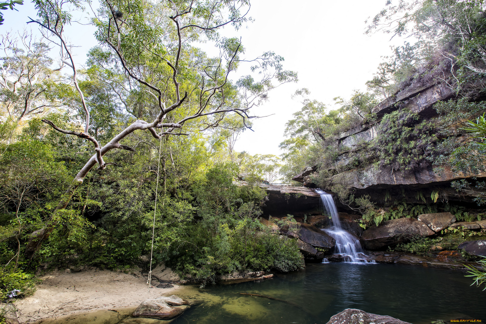 природа, водопады, водопад, река, лес