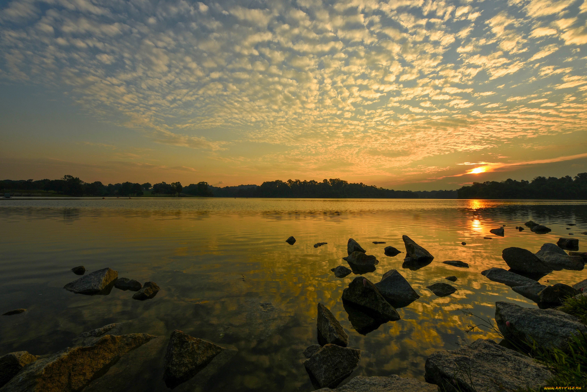 природа, восходы, закаты, небо, вечер, солнце, облака, закат