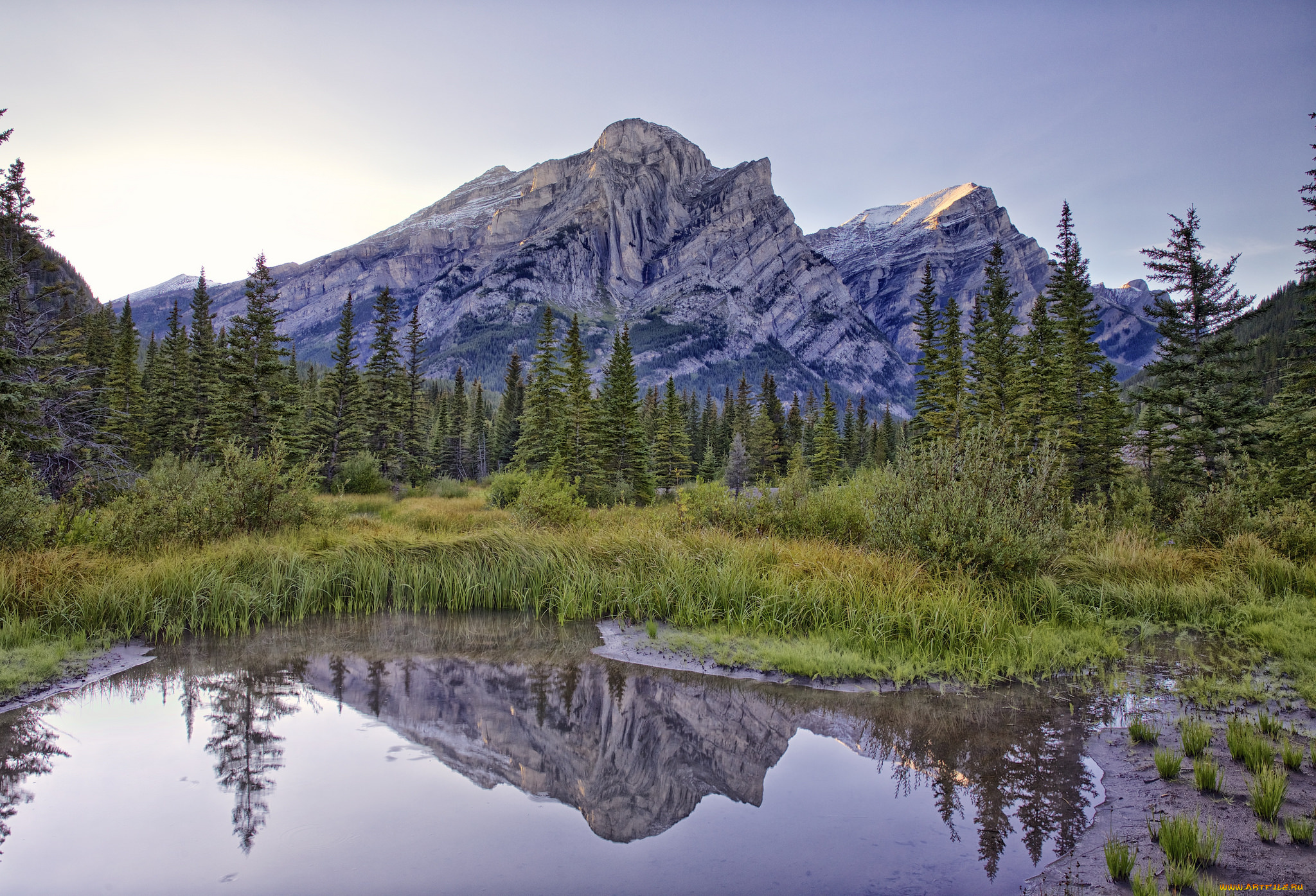 природа, реки, озера, горы, лес, река