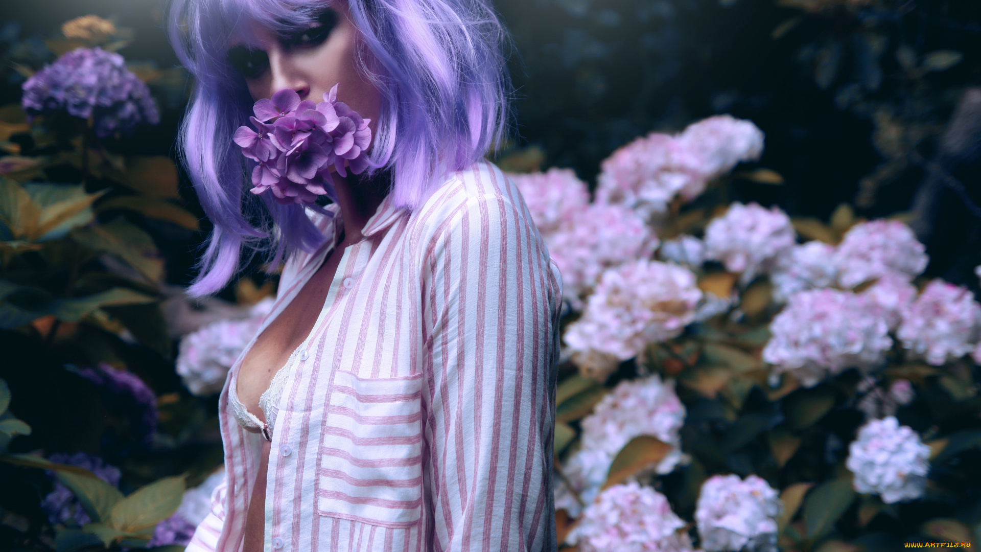 девушки, -unsort, , рыжеволосые, и, другие, фон, поза, девушка