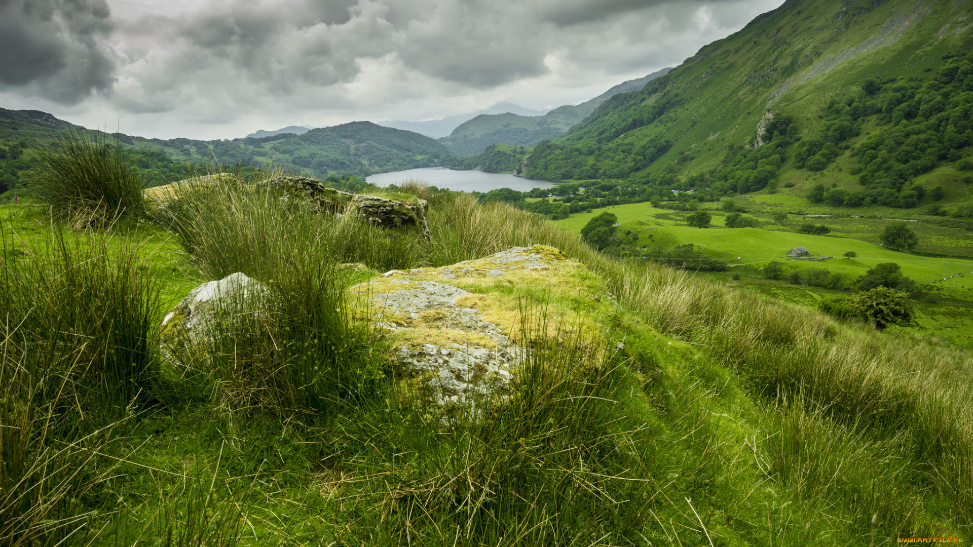 природа, реки, озера, лес, река