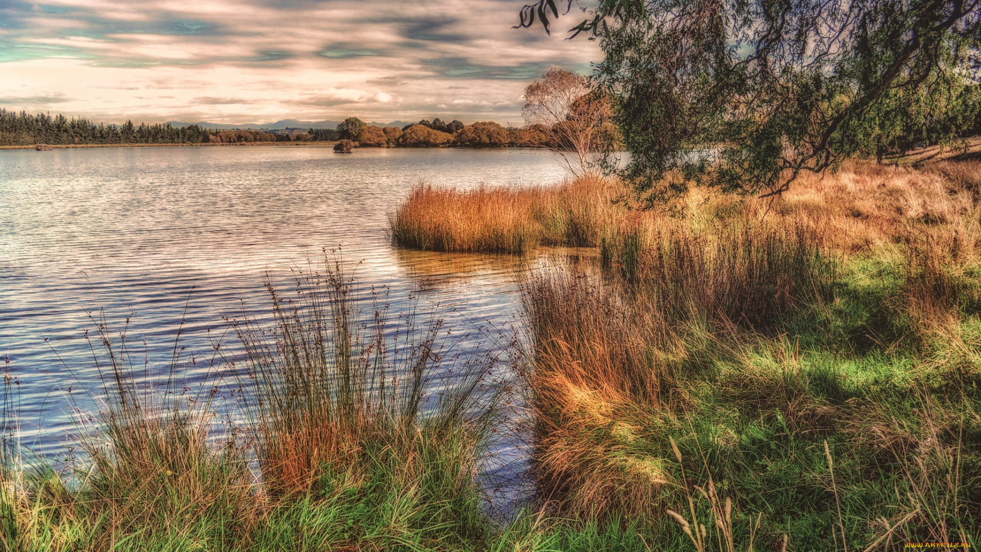 природа, реки, озера, лес, река