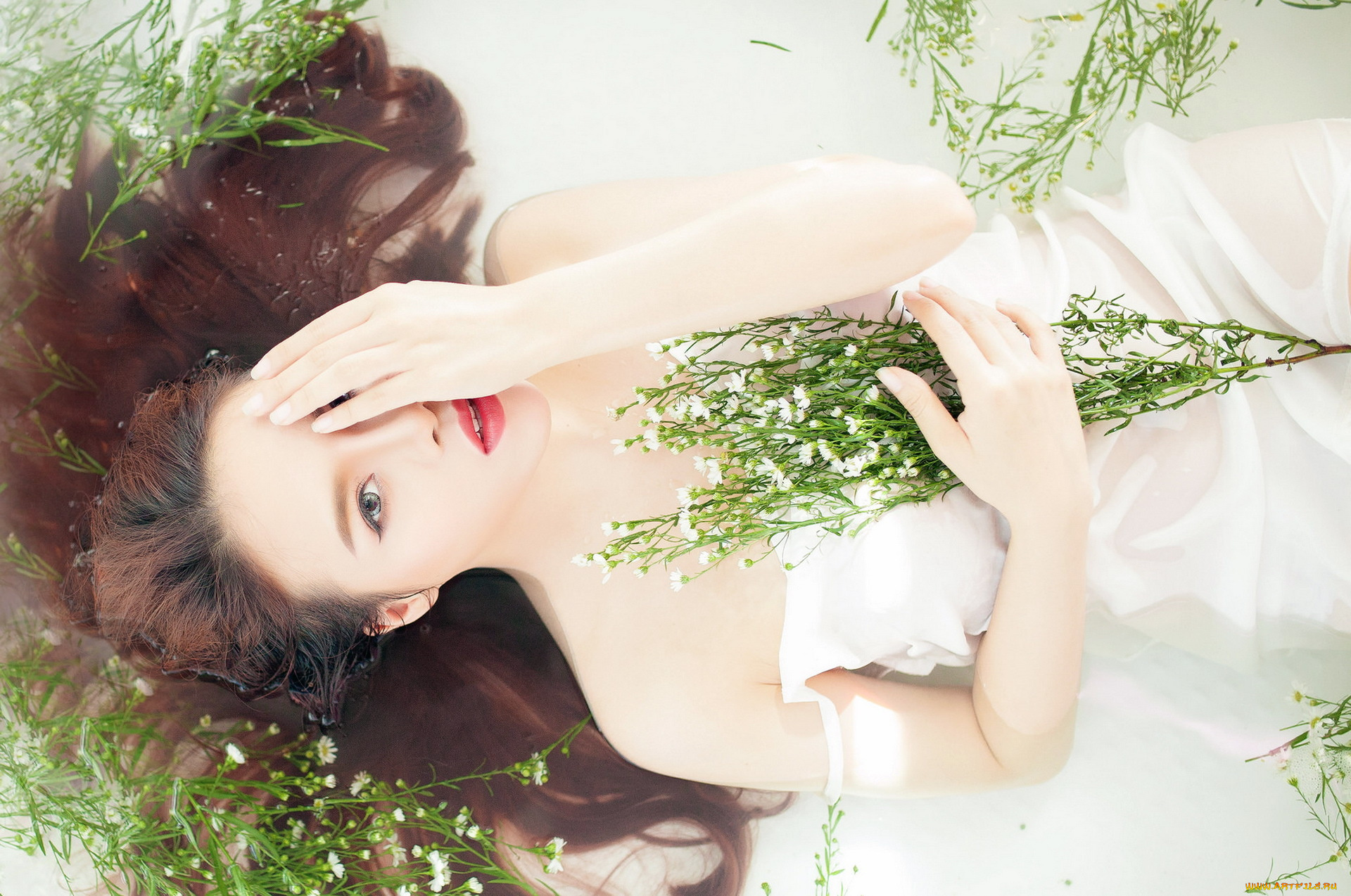 девушки, -unsort, , брюнетки, , шатенки, фон, поза, девушка