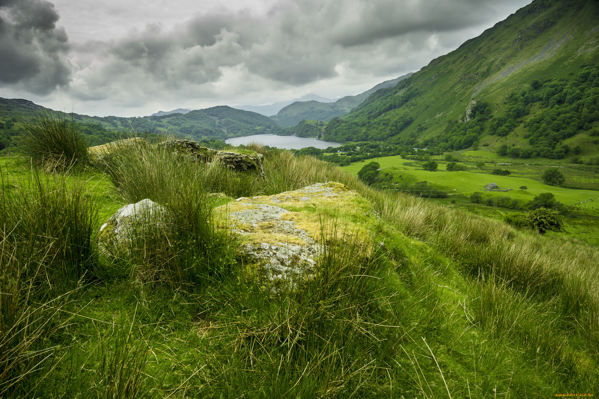 природа, реки, озера, лес, река